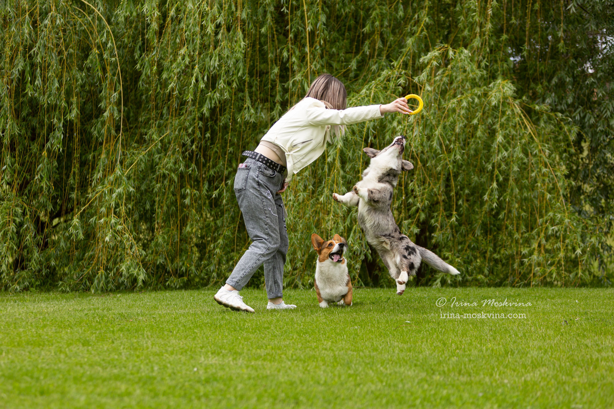 Фотосессия кардиганов Виски и Колы | Белгород | май 2022. Ирина Москвина | фотограф | Москва