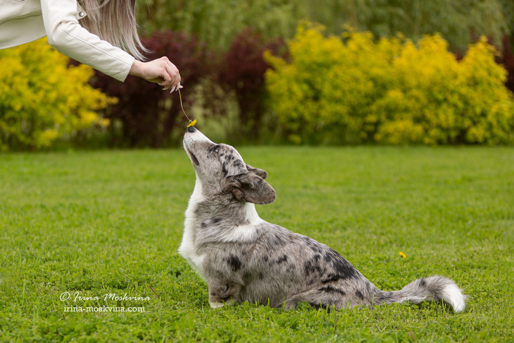 Фотосессия кардиганов Виски и Колы | Белгород | май 2022. Ирина Москвина | фотограф | Москва