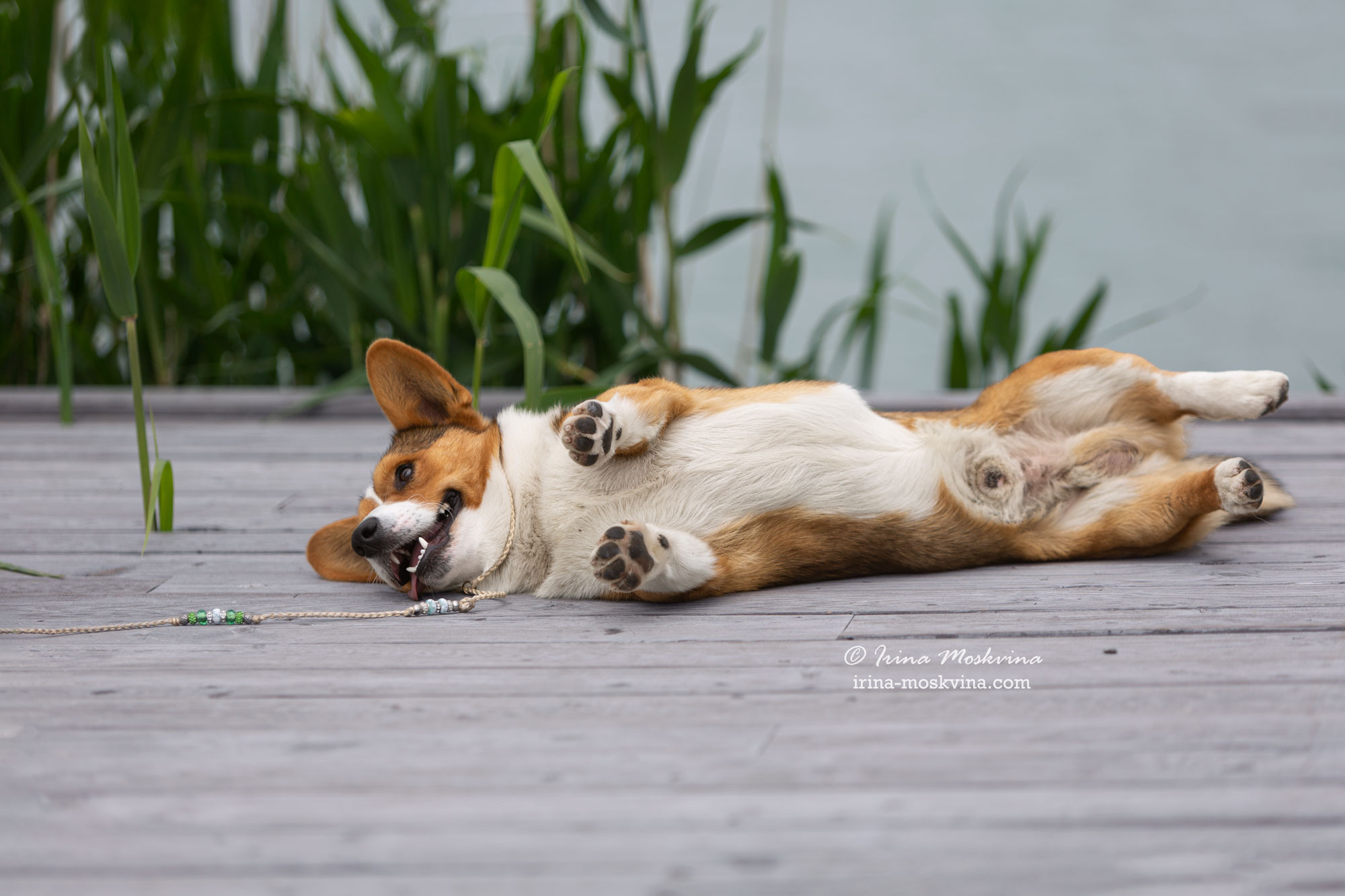 Фотосессия кардиганов Виски и Колы | Белгород | май 2022. Ирина Москвина | фотограф | Москва