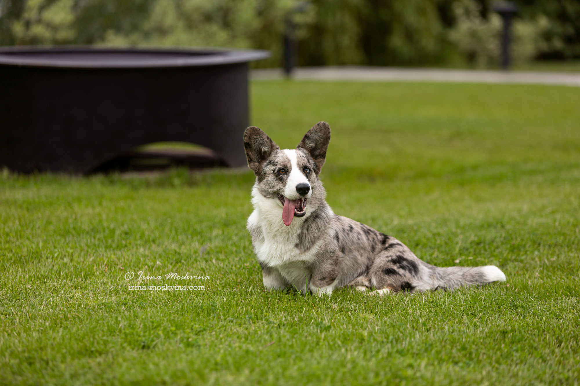 Фотосессия кардиганов Виски и Колы | Белгород | май 2022. Ирина Москвина | фотограф | Москва
