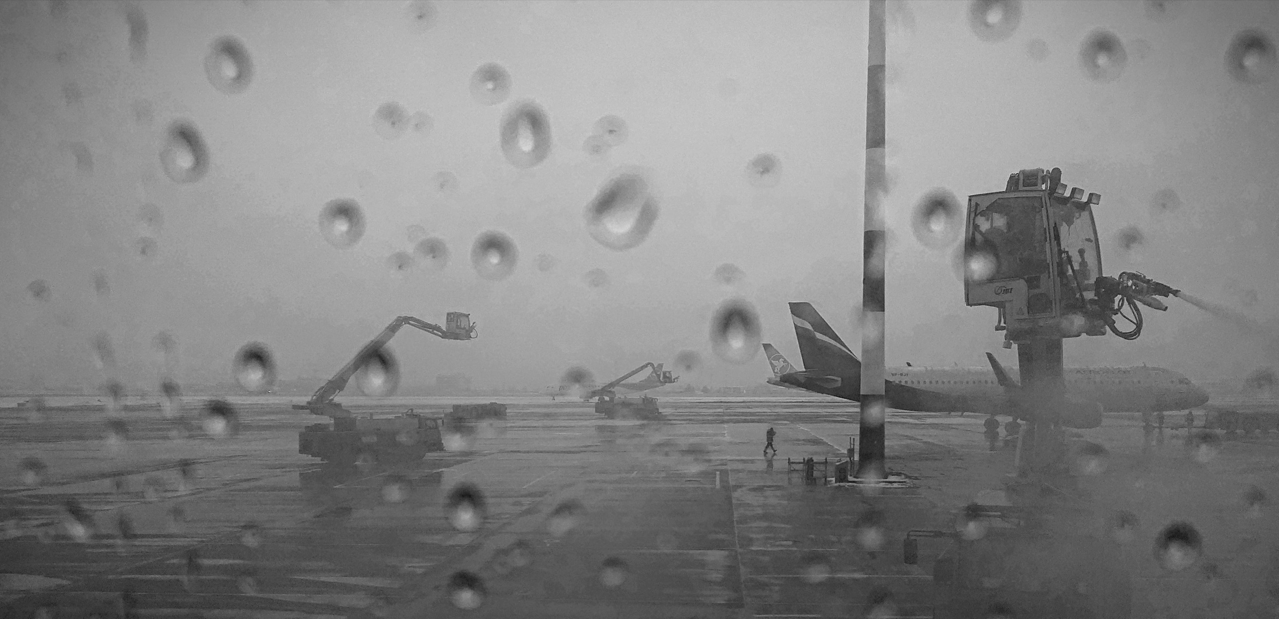 Mobilephoto. BlackDrozd — фотография аналоговая и цифровая, цветная и черно-белая