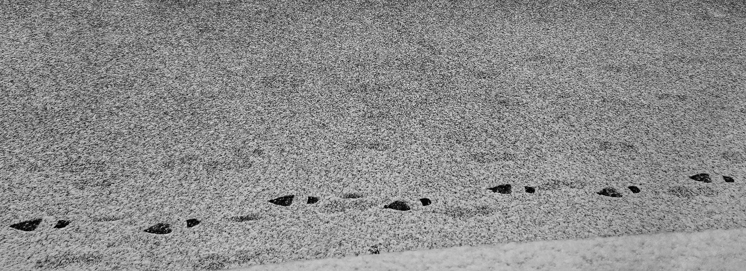 Mobilephoto. BlackDrozd — фотография аналоговая и цифровая, цветная и черно-белая