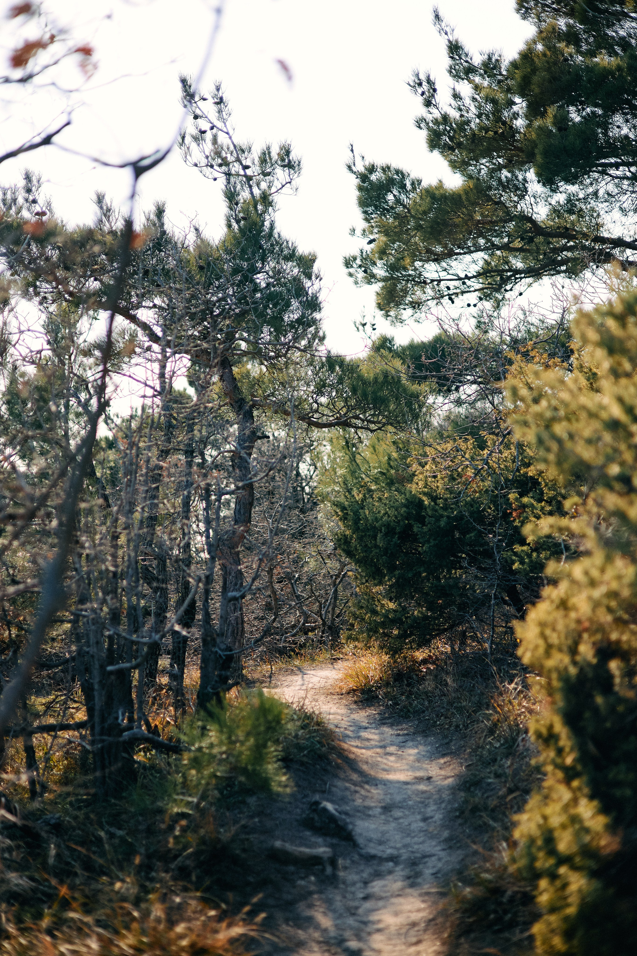 Юг России. Профессиональный Фотограф во Владимире, в Москве и в Суздале — Полина Романычева