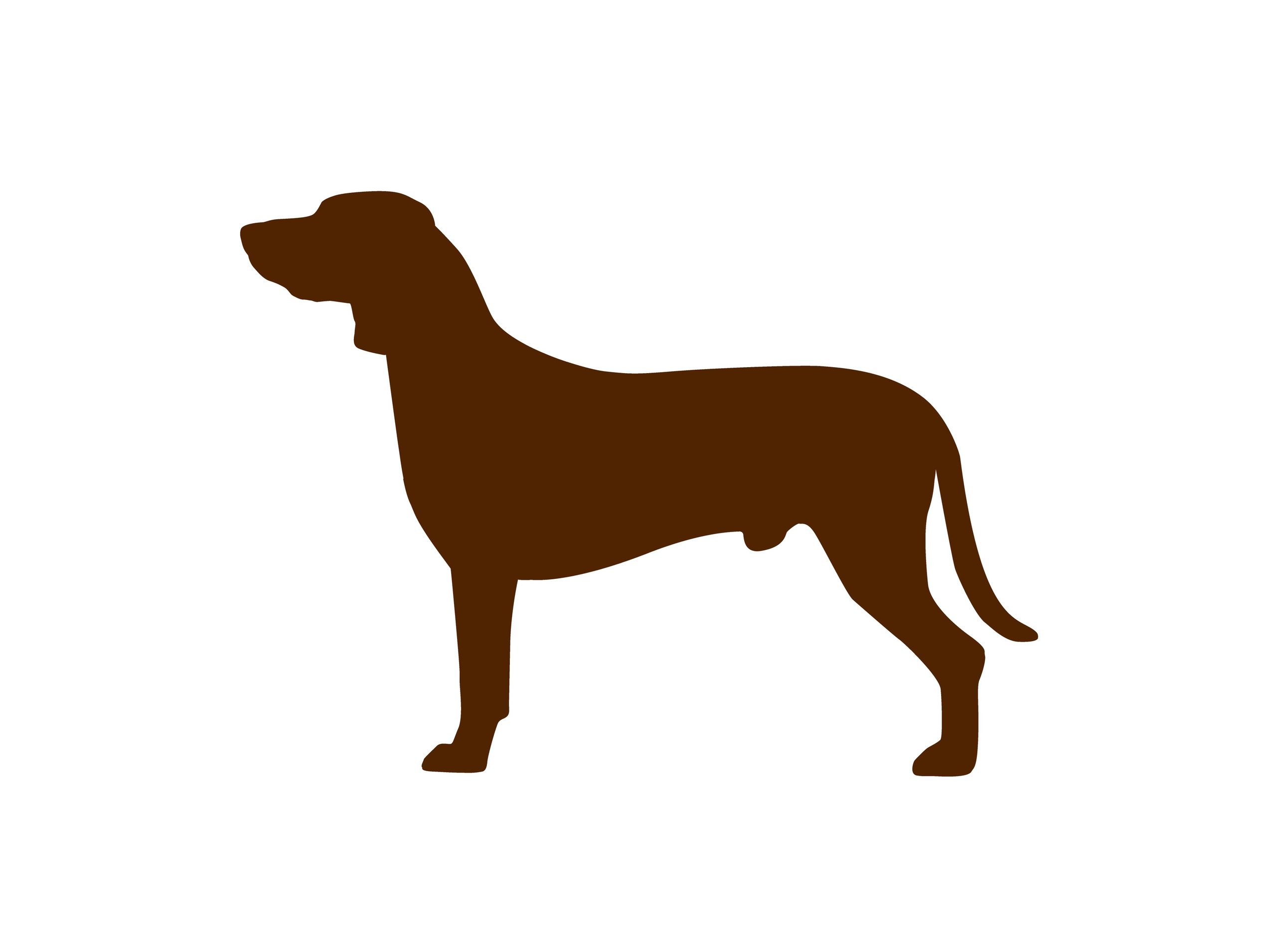 Лого для питомника баварских гончих AMBER HOPE. Lana Photo Design