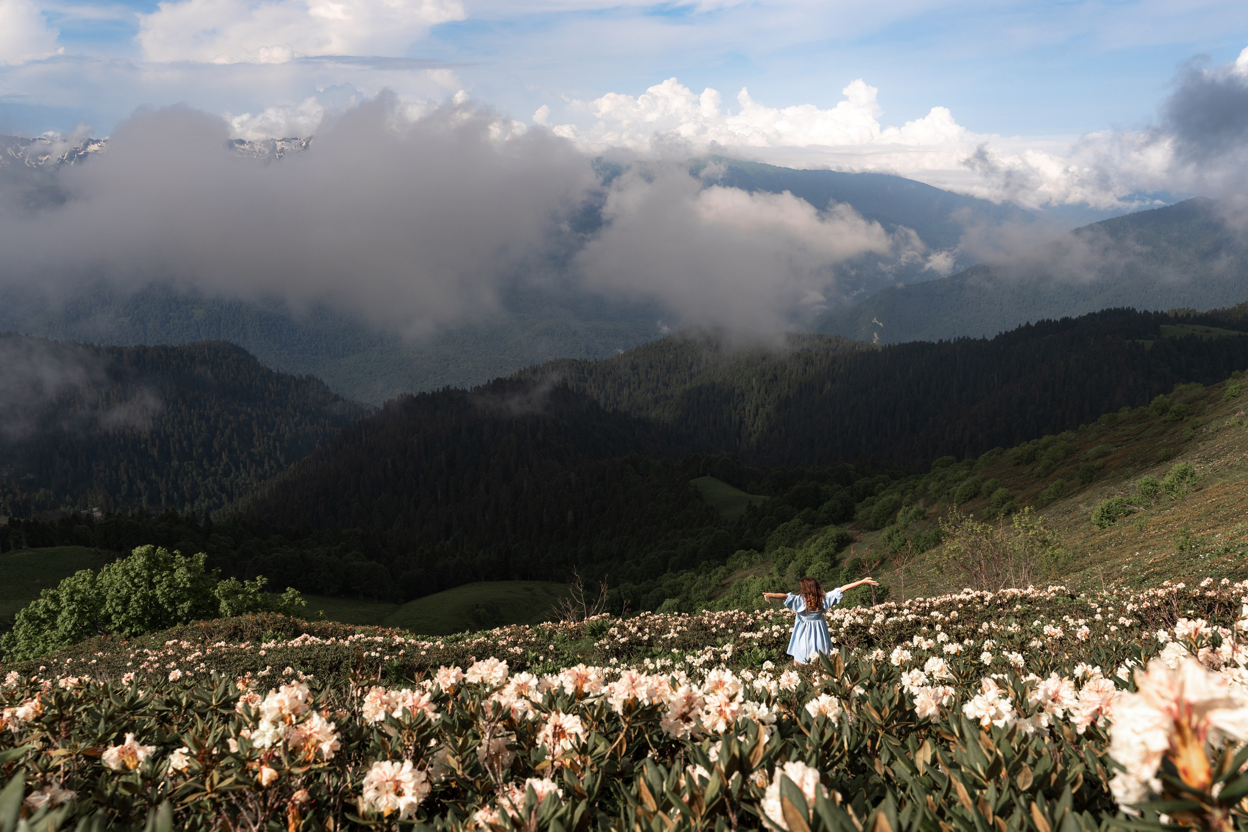 Анна. Репортажный фотограф в Красной Поляне и Сочи Павлюченко Екатерина