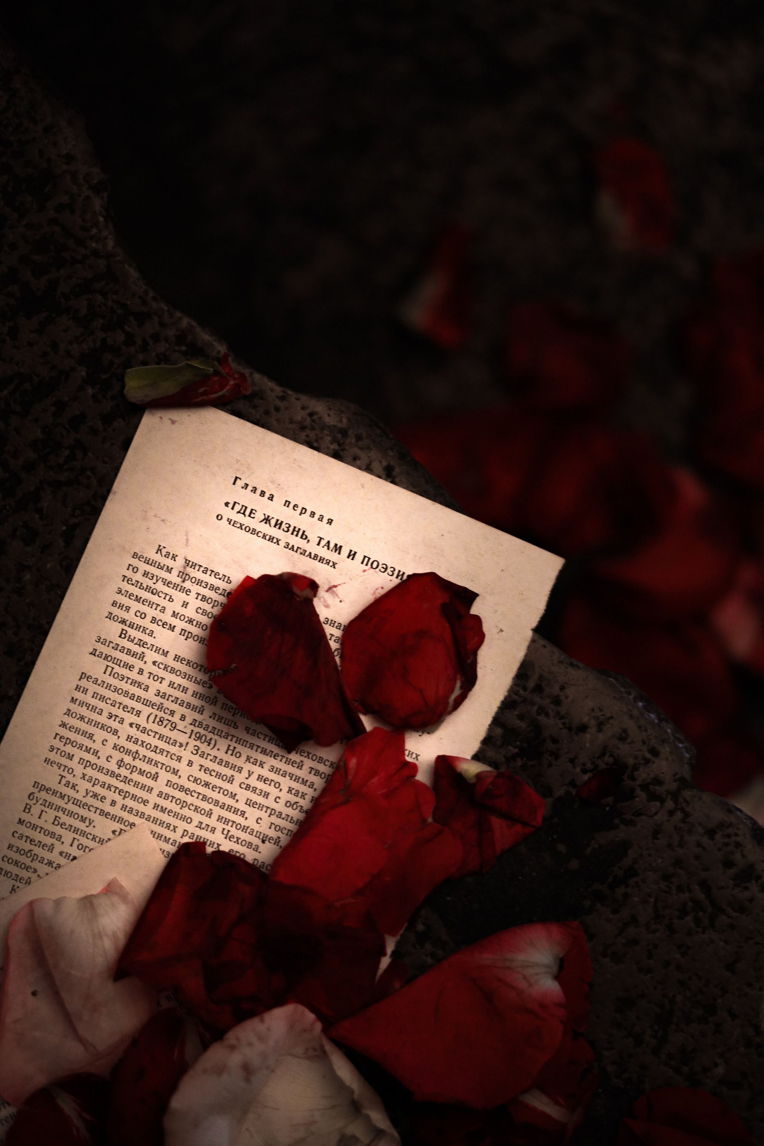 Gastrodvor «Диалог с Чеховым». Дженбаз Павел — фотограф в Ялте