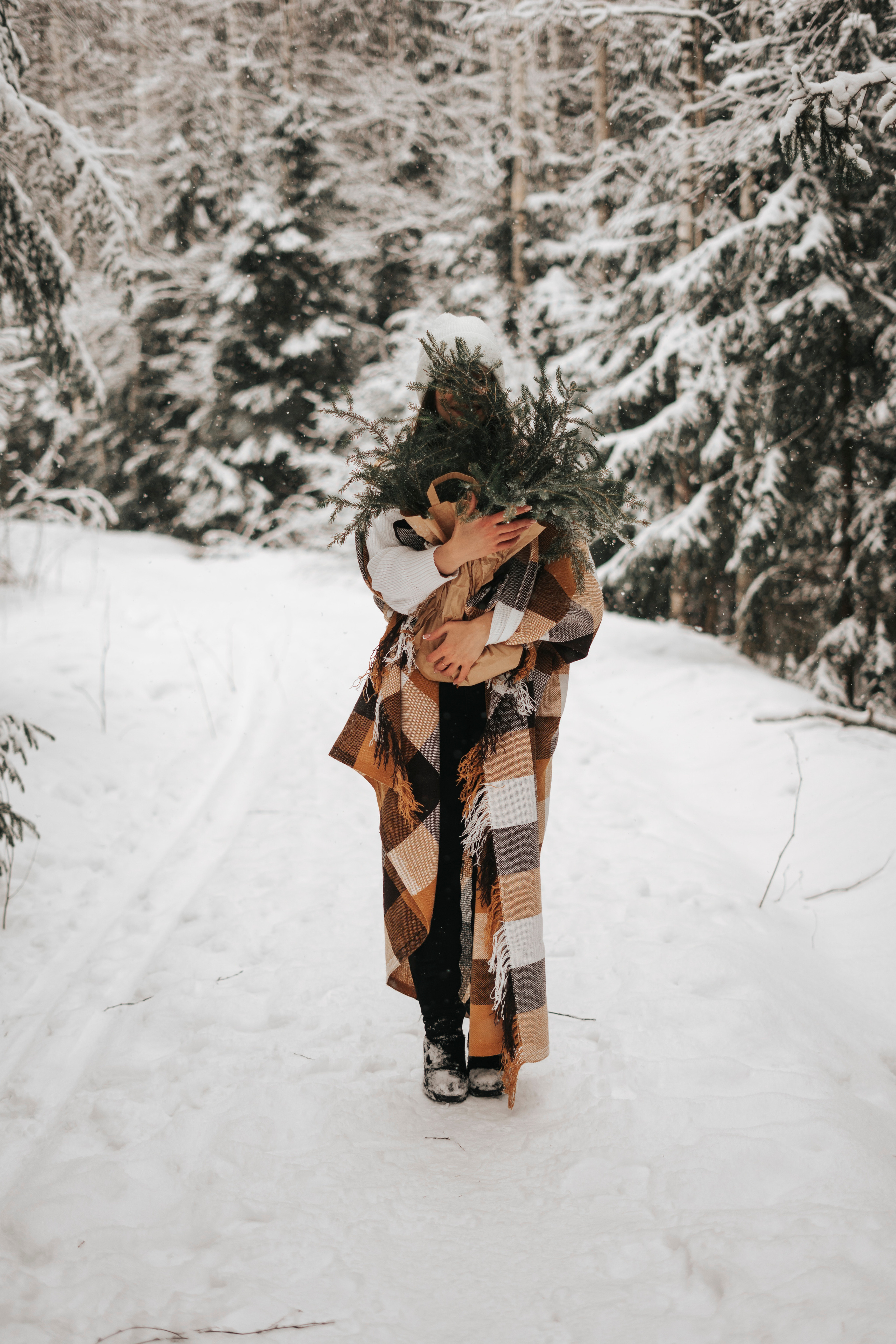 Виктория. Экотропа. Январь 2022 г. Главная