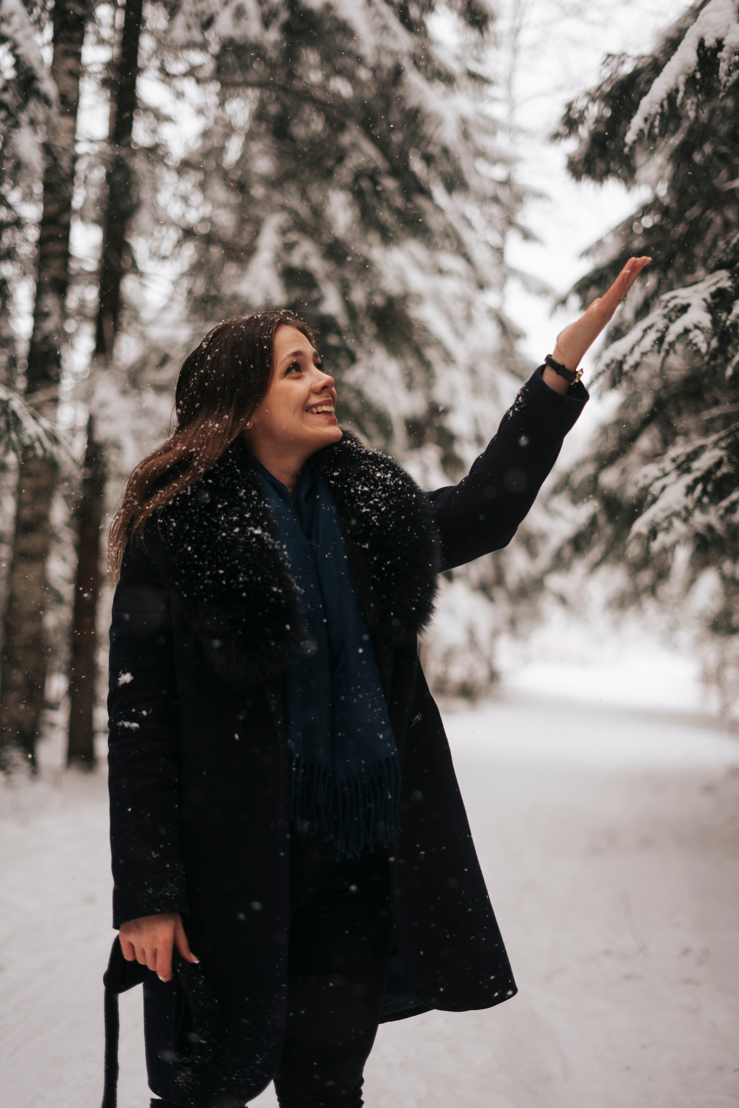 Виктория. Экотропа. Январь 2022 г. Главная