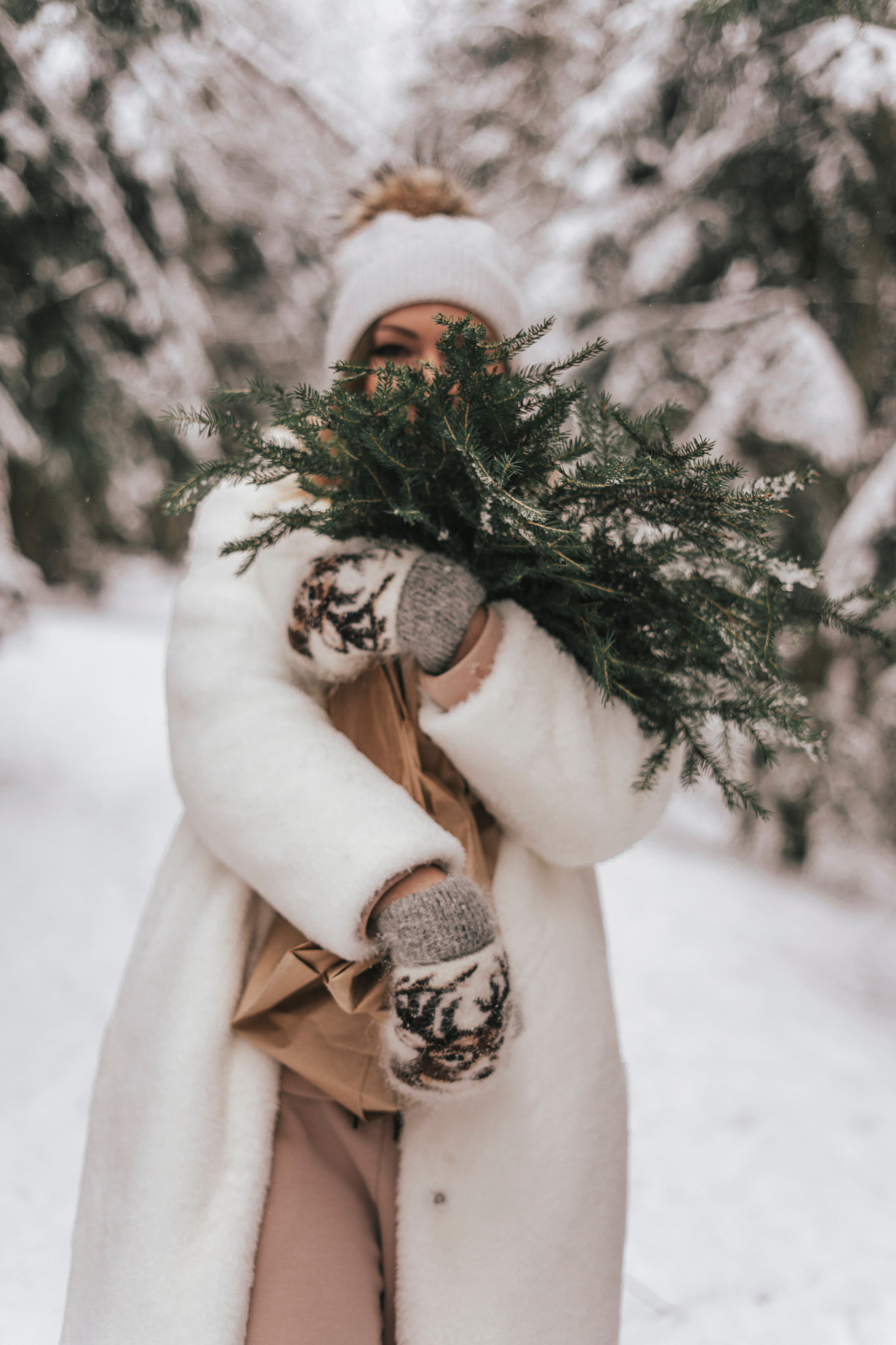 Елена. Экотропа. Январь 2022. Главная