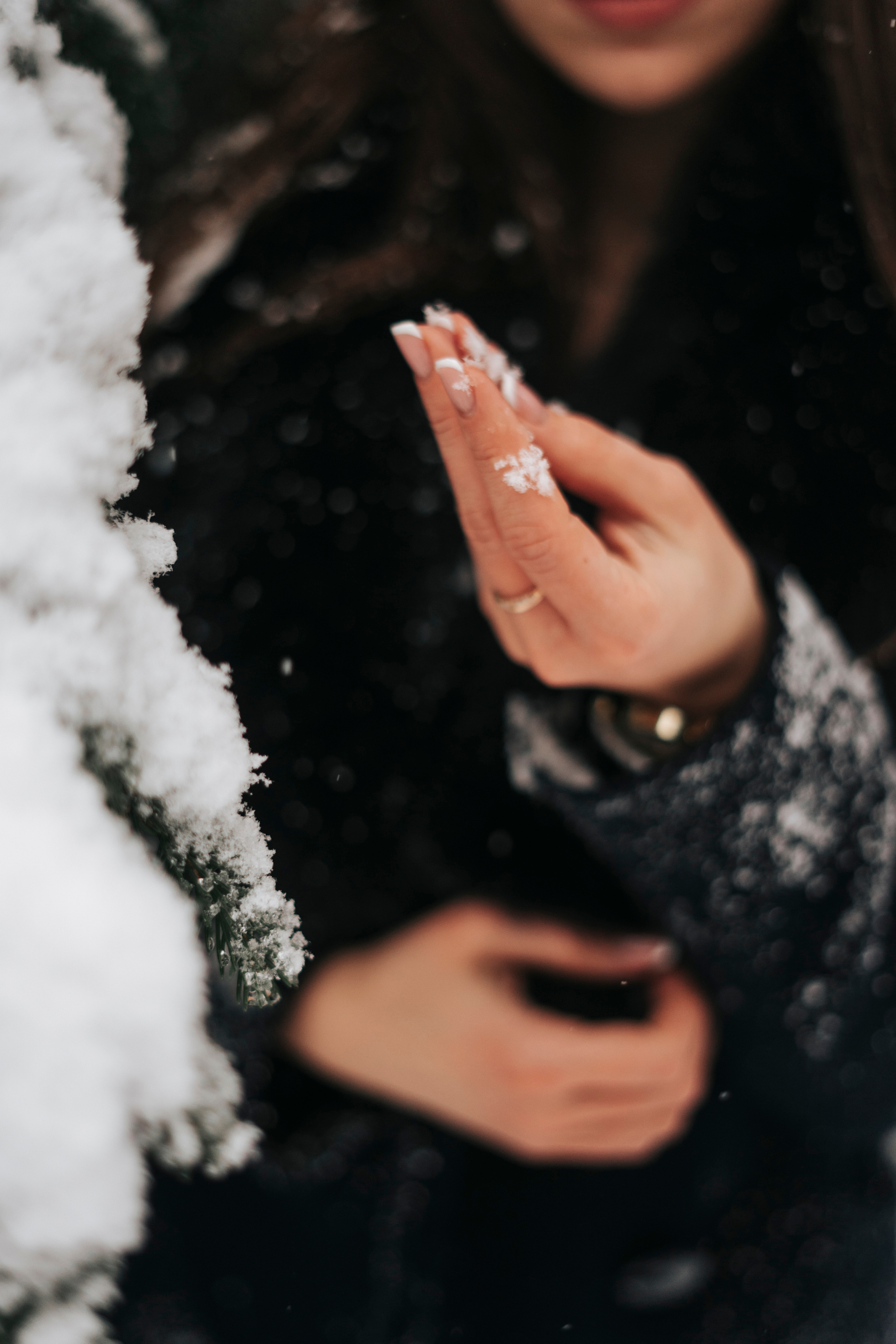 Виктория. Экотропа. Январь 2022 г. Главная