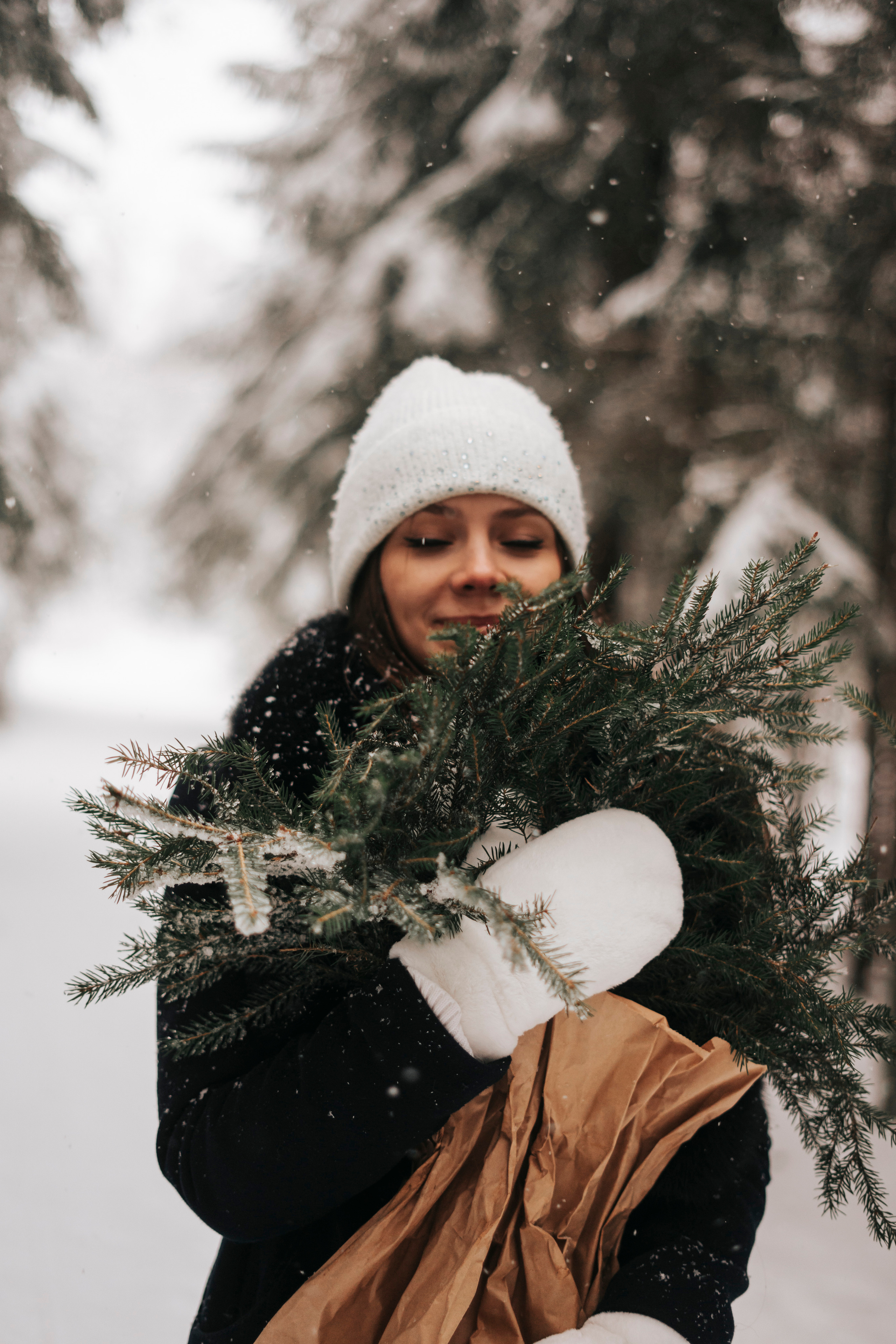 Виктория. Экотропа. Январь 2022 г. Главная