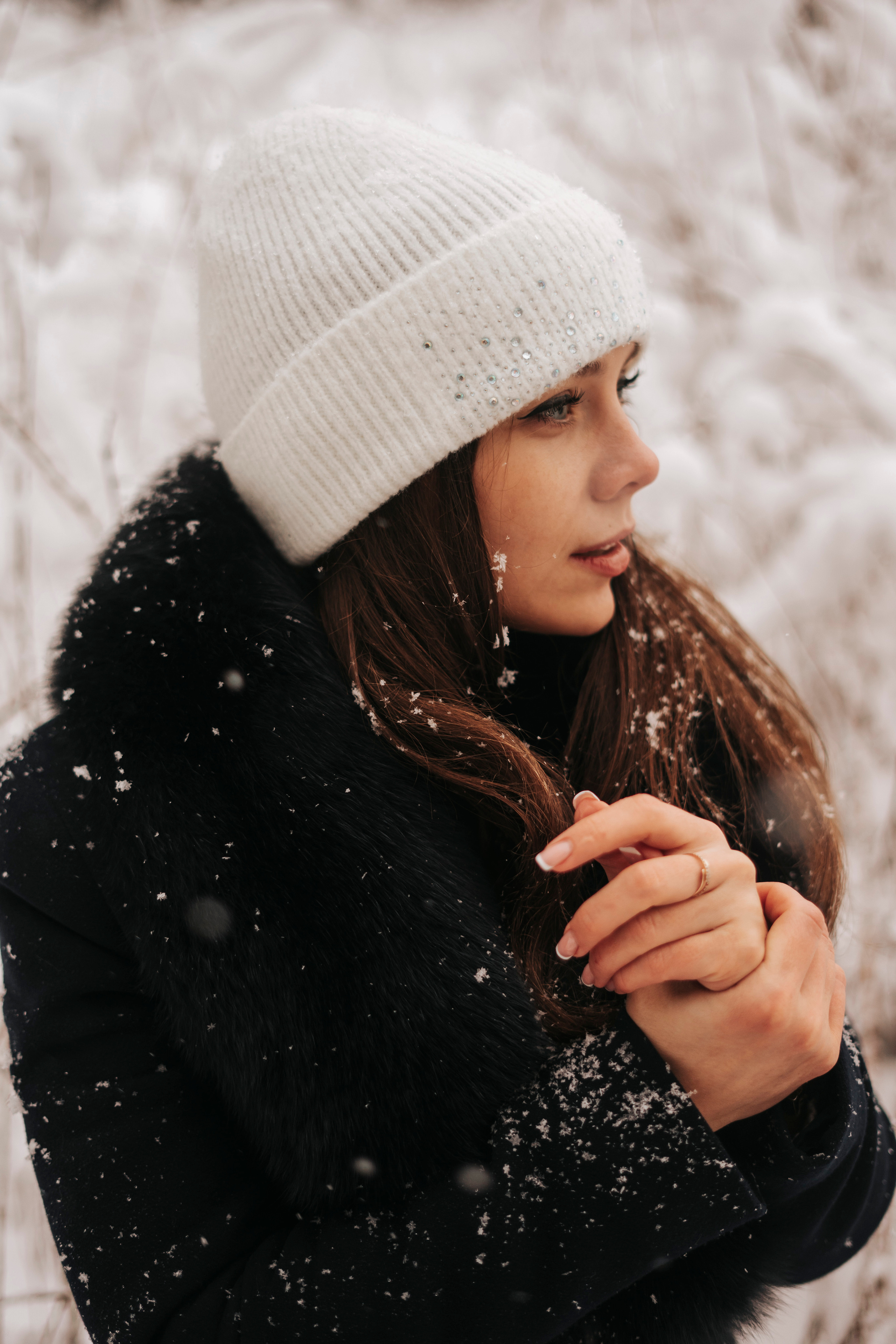 Виктория. Экотропа. Январь 2022 г. Главная