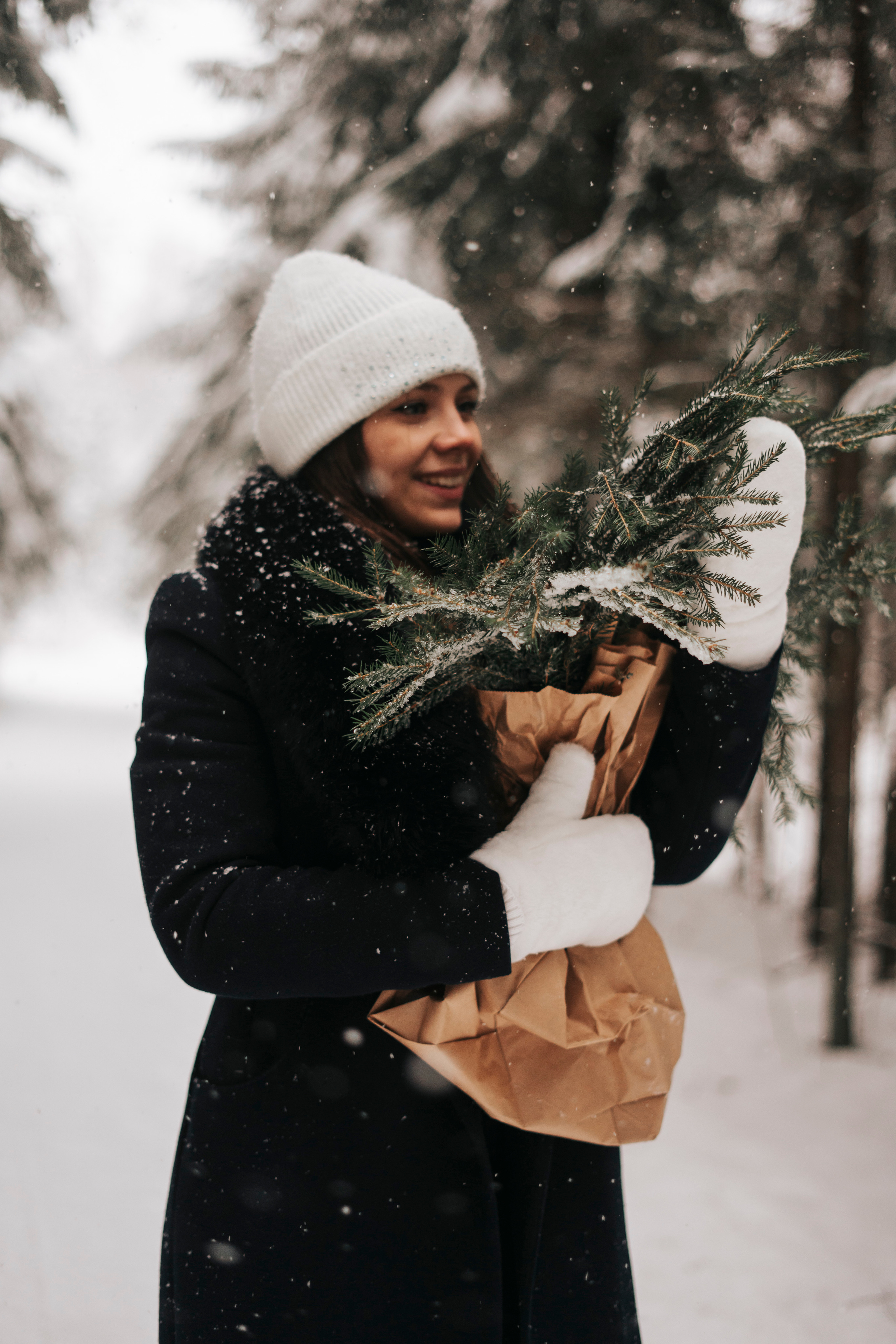 Виктория. Экотропа. Январь 2022 г. Главная