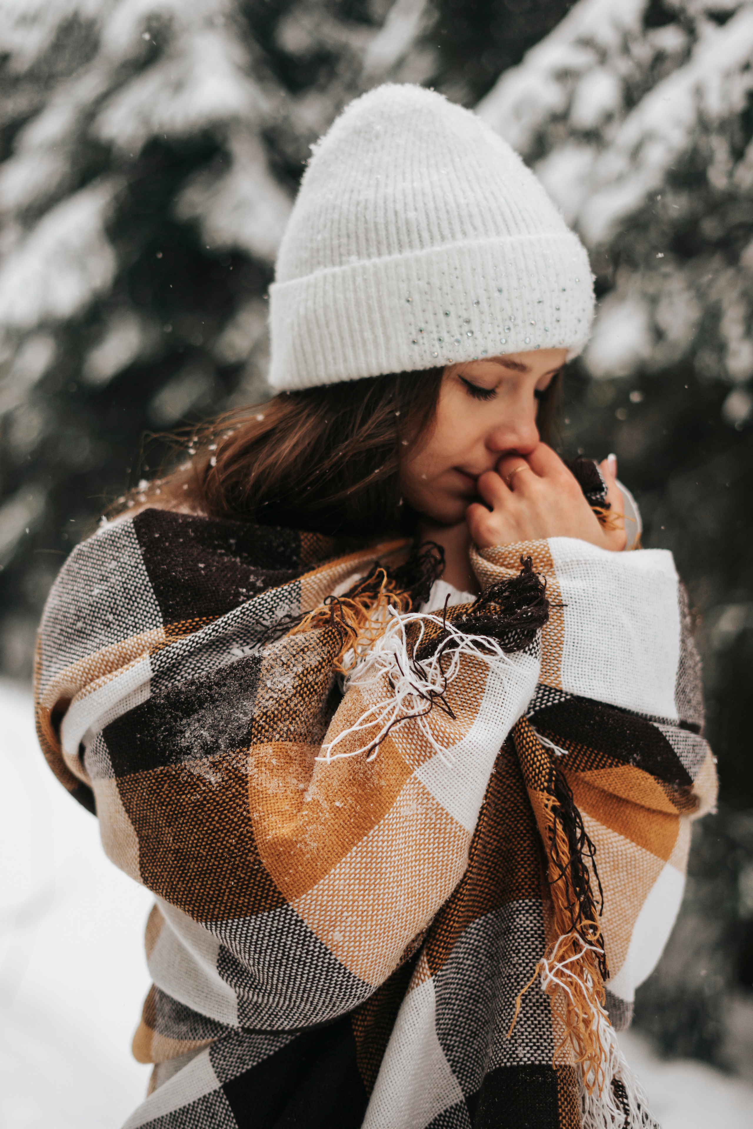 Виктория. Экотропа. Январь 2022 г. Главная