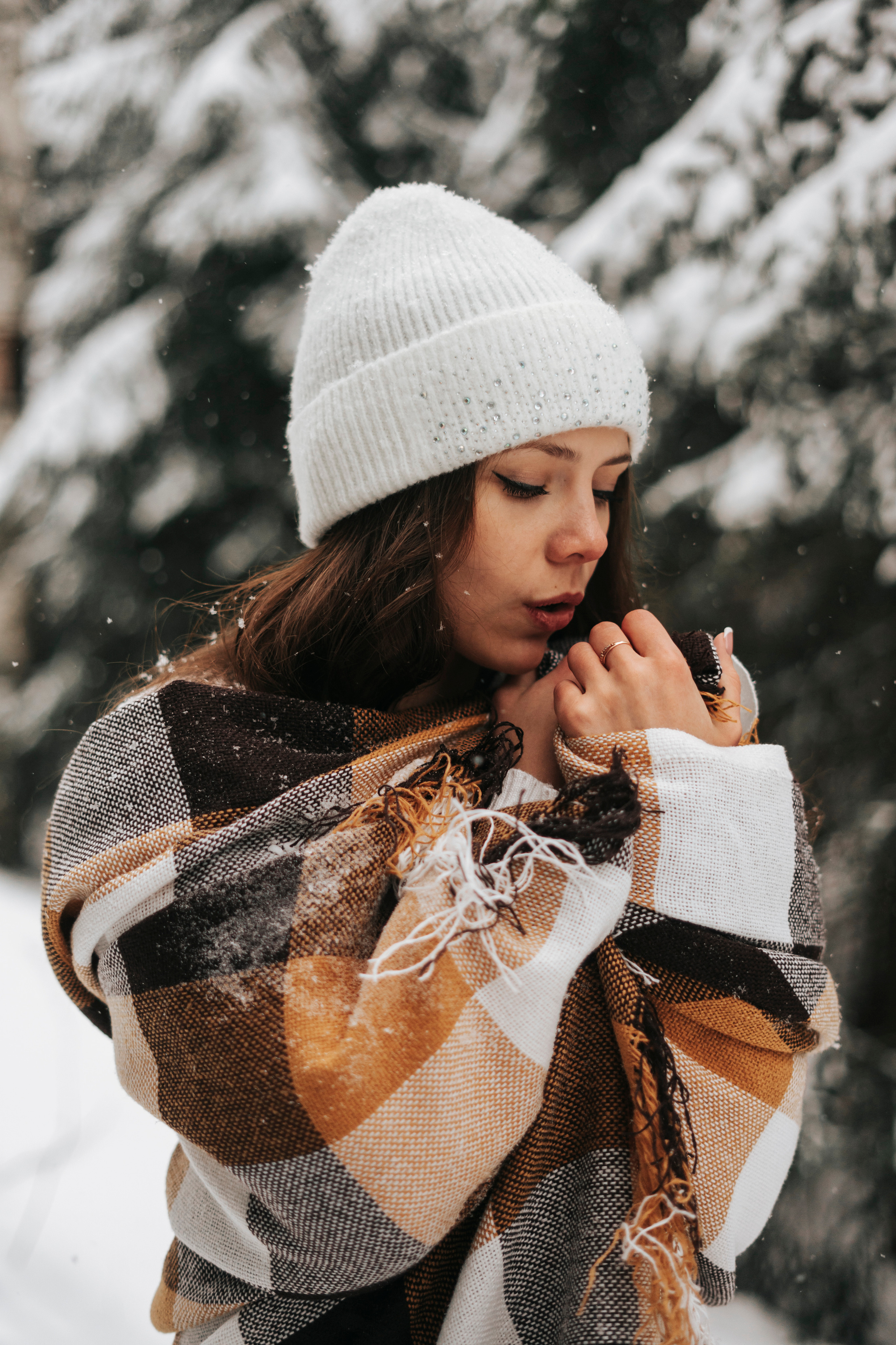 Виктория. Экотропа. Январь 2022 г. Главная