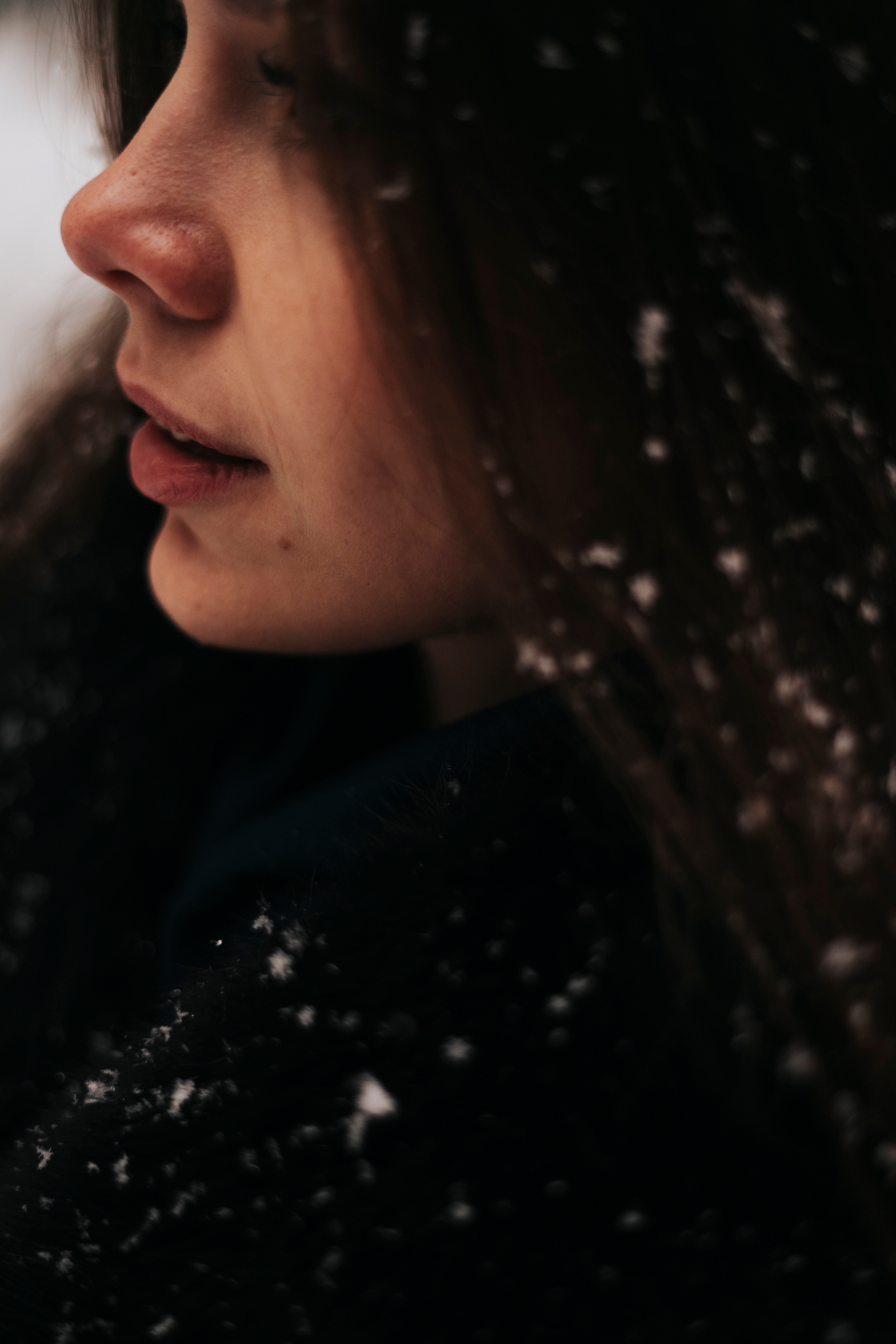 Виктория. Экотропа. Январь 2022 г. Главная