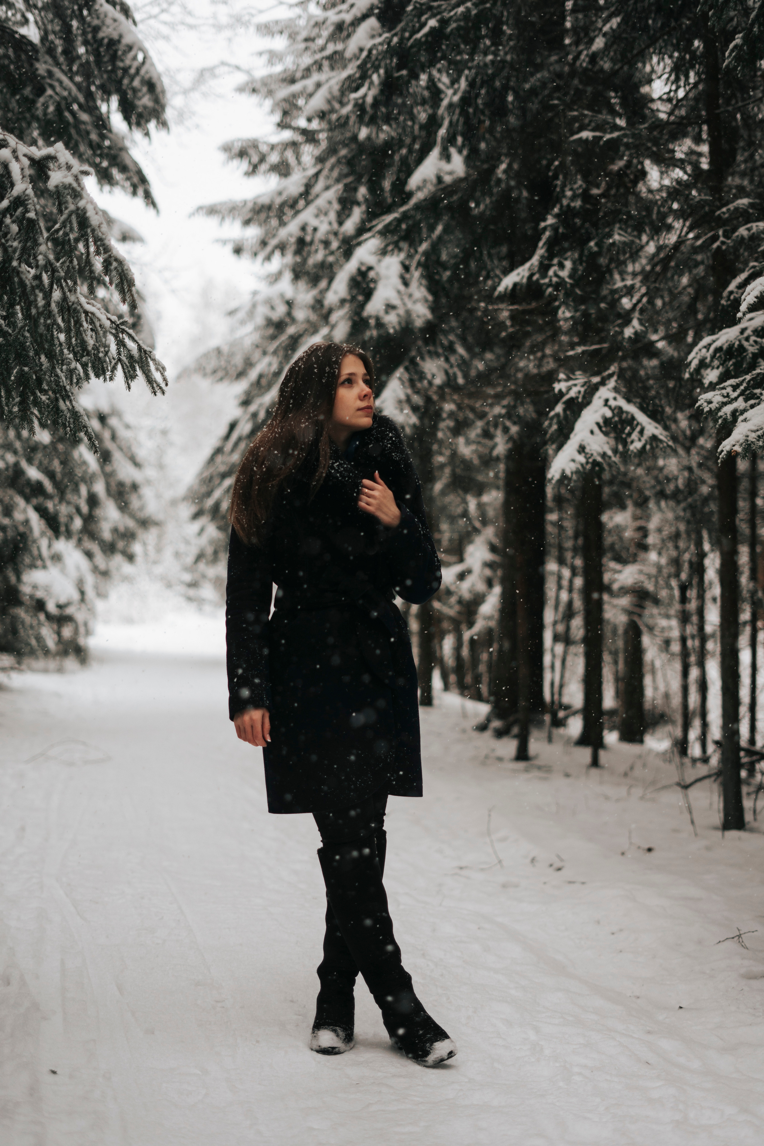 Виктория. Экотропа. Январь 2022 г. Главная