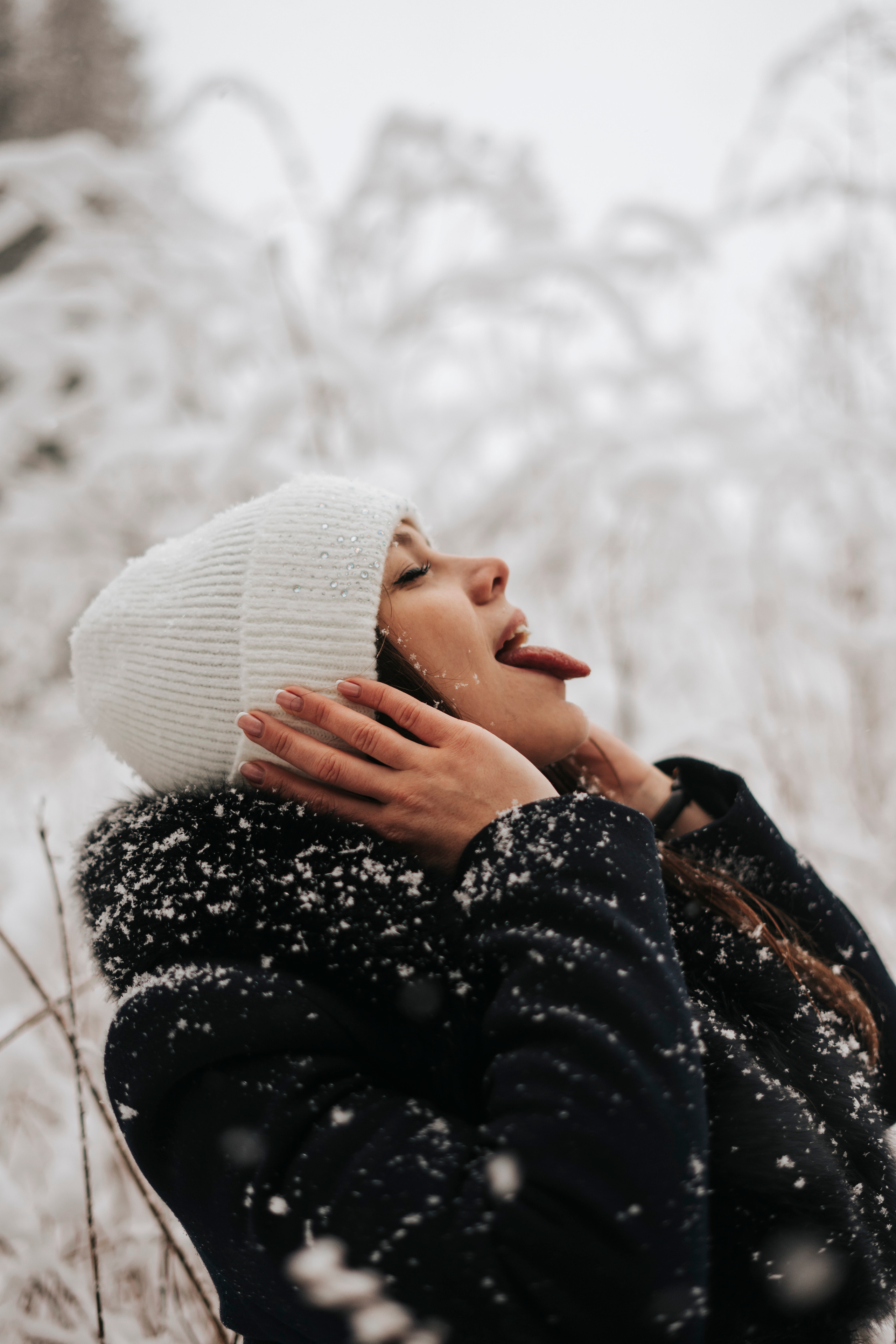 Виктория. Экотропа. Январь 2022 г. Главная