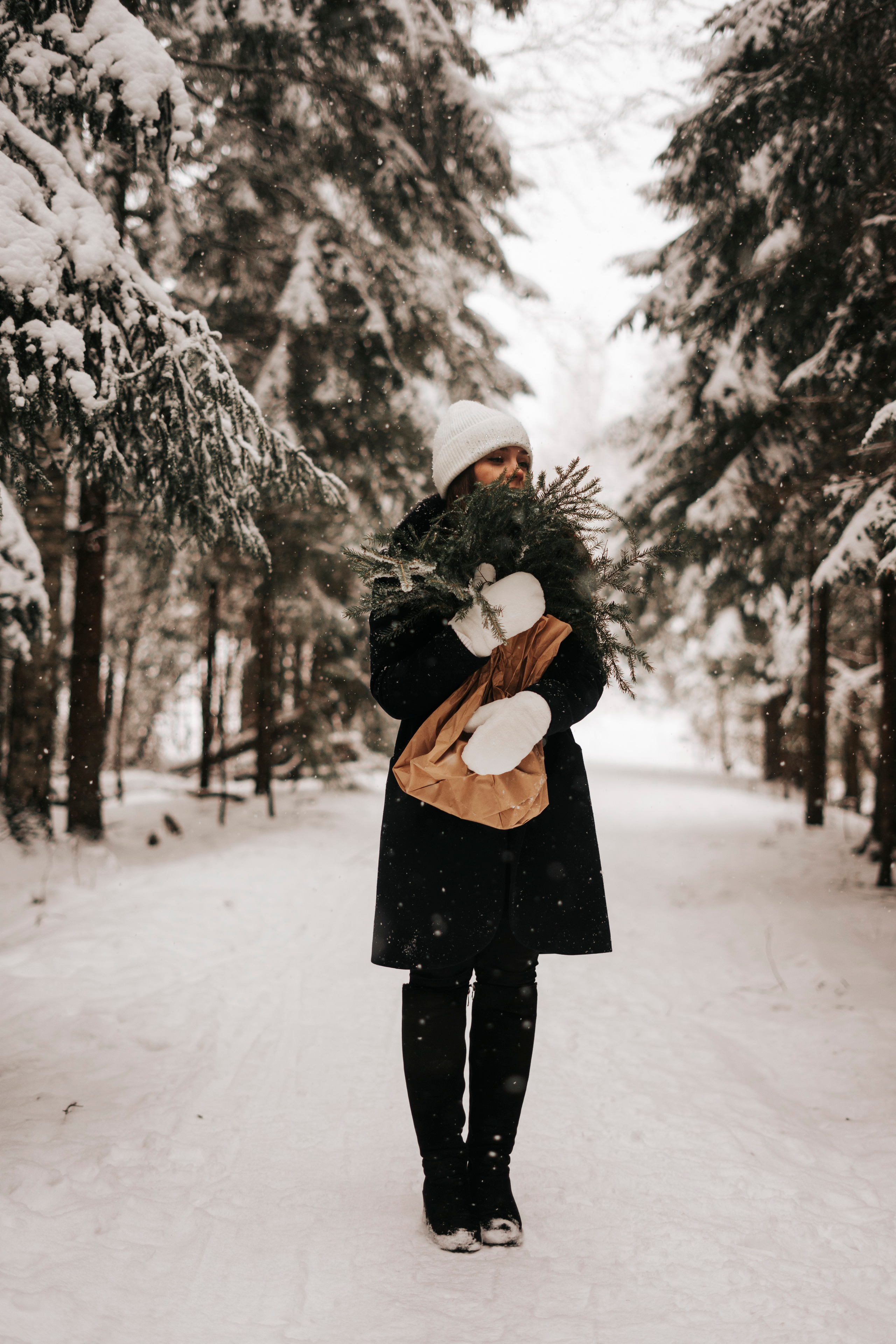 Виктория. Экотропа. Январь 2022 г. Главная