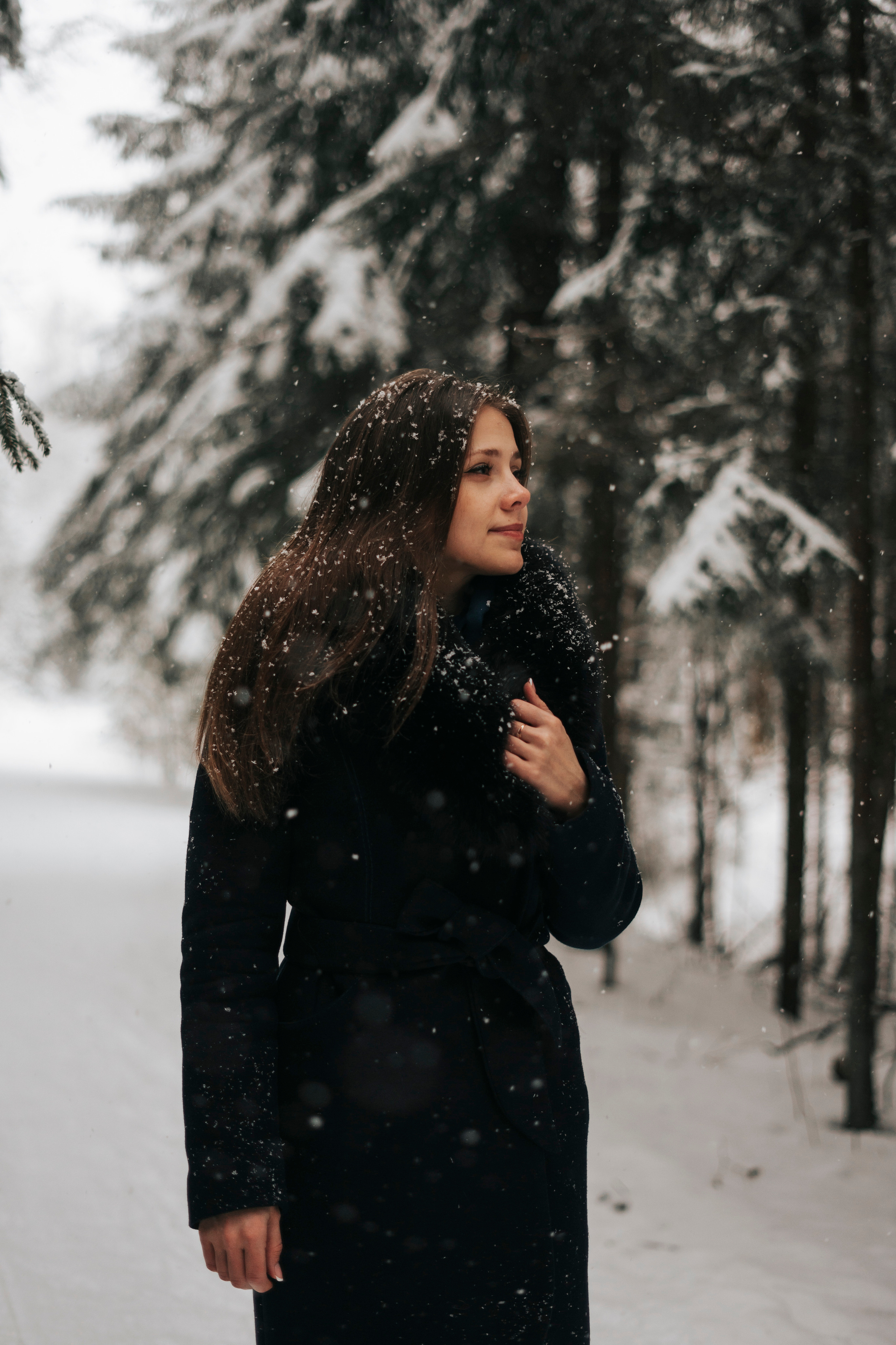 Виктория. Экотропа. Январь 2022 г. Главная