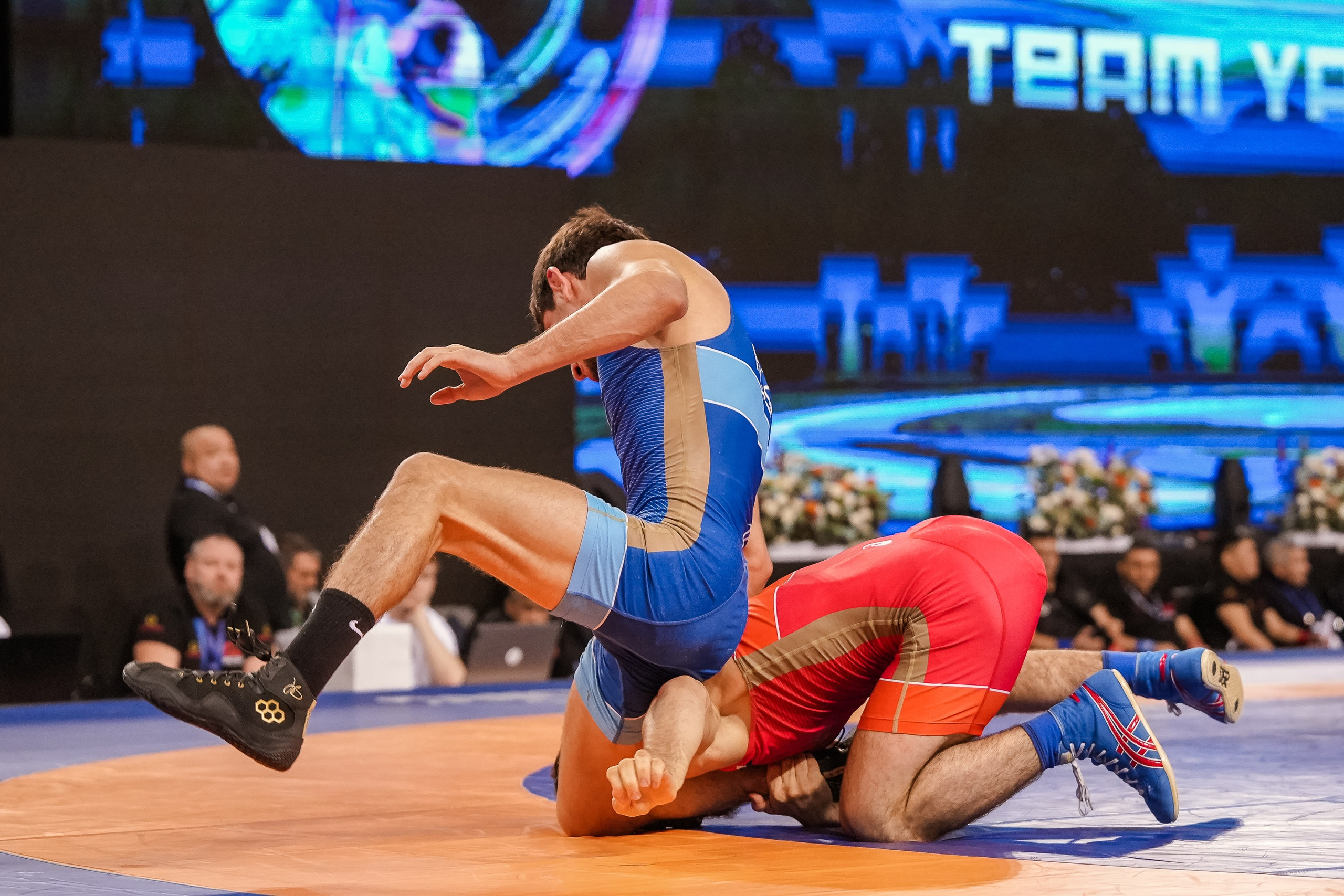 Соревнования по вольной борьбе Кубок Ивана Ярыгина