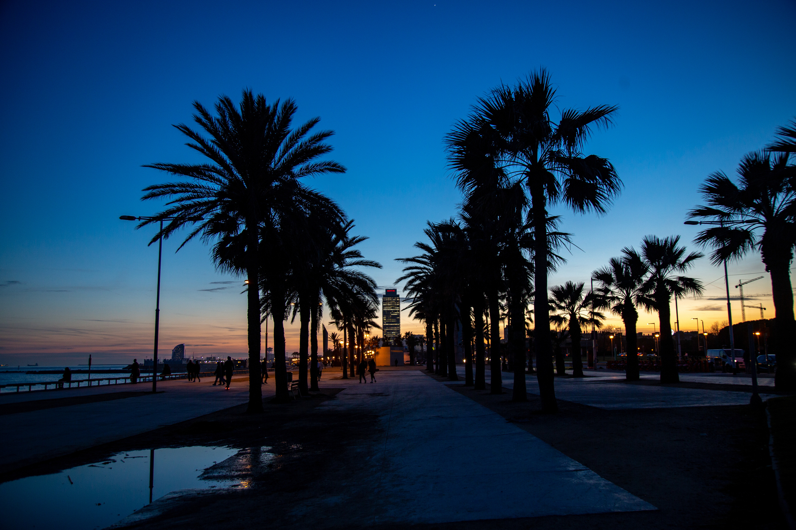 НАБЕРЕЖНАЯ БАРСЕЛОНЫ (EMBANKMENT OF BARCELONA)  в Барселоне, Испания.