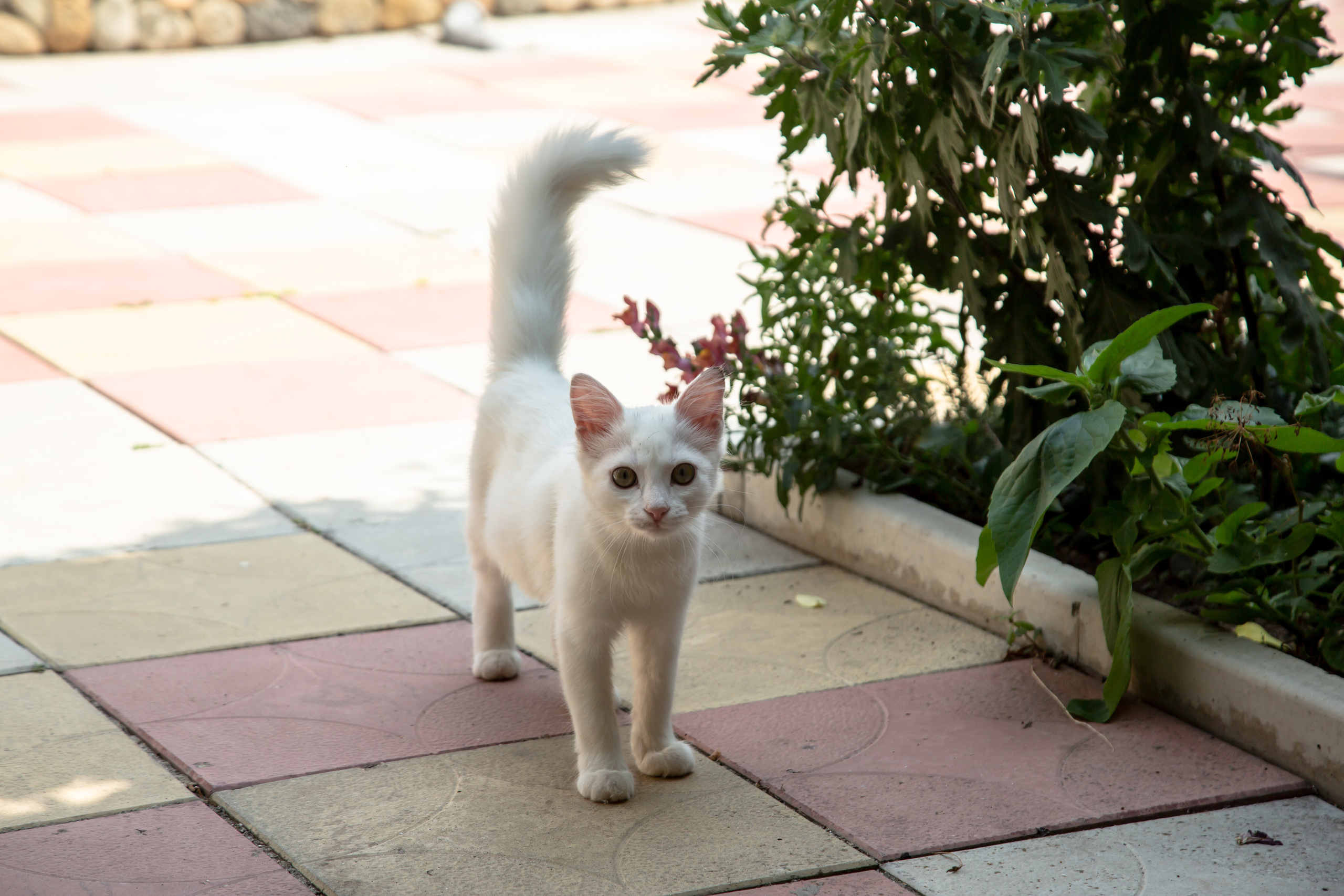 Крым. Штормовое. Photographer Sonkina Tatiana (Tanya Ash)