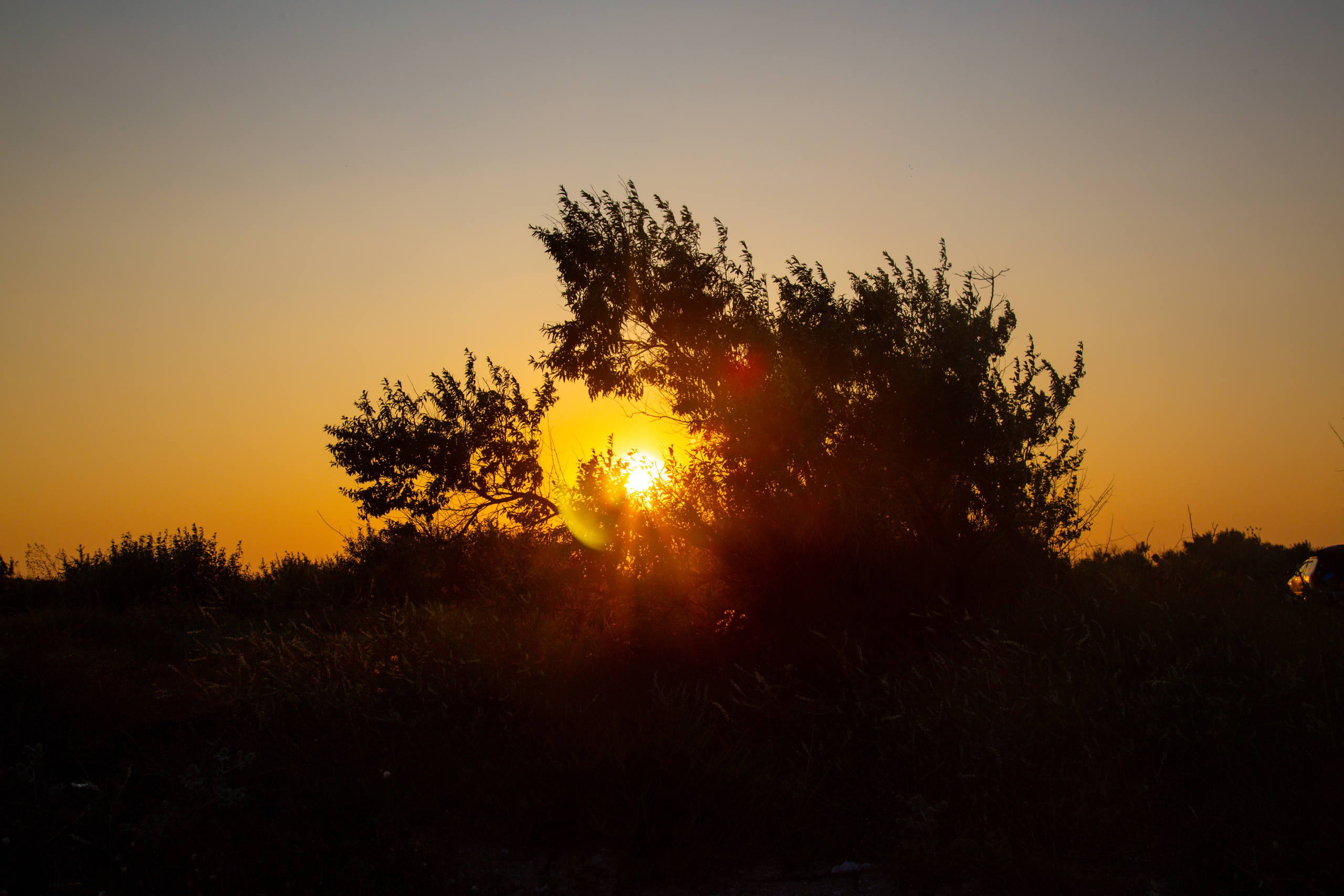 Штормовое. Крым. Закат.