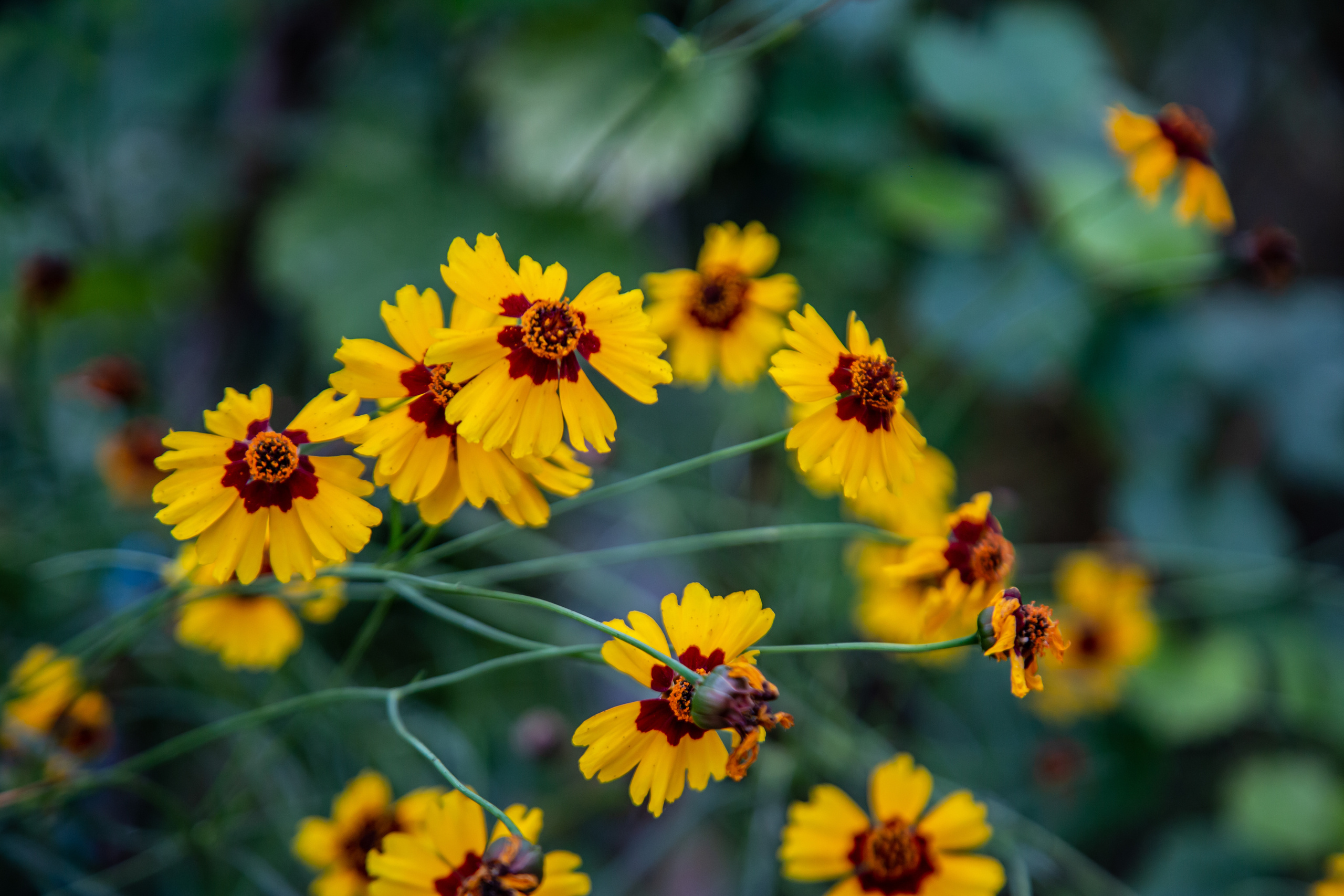 Крым. Штормовое. Photographer Sonkina Tatiana (Tanya Ash)