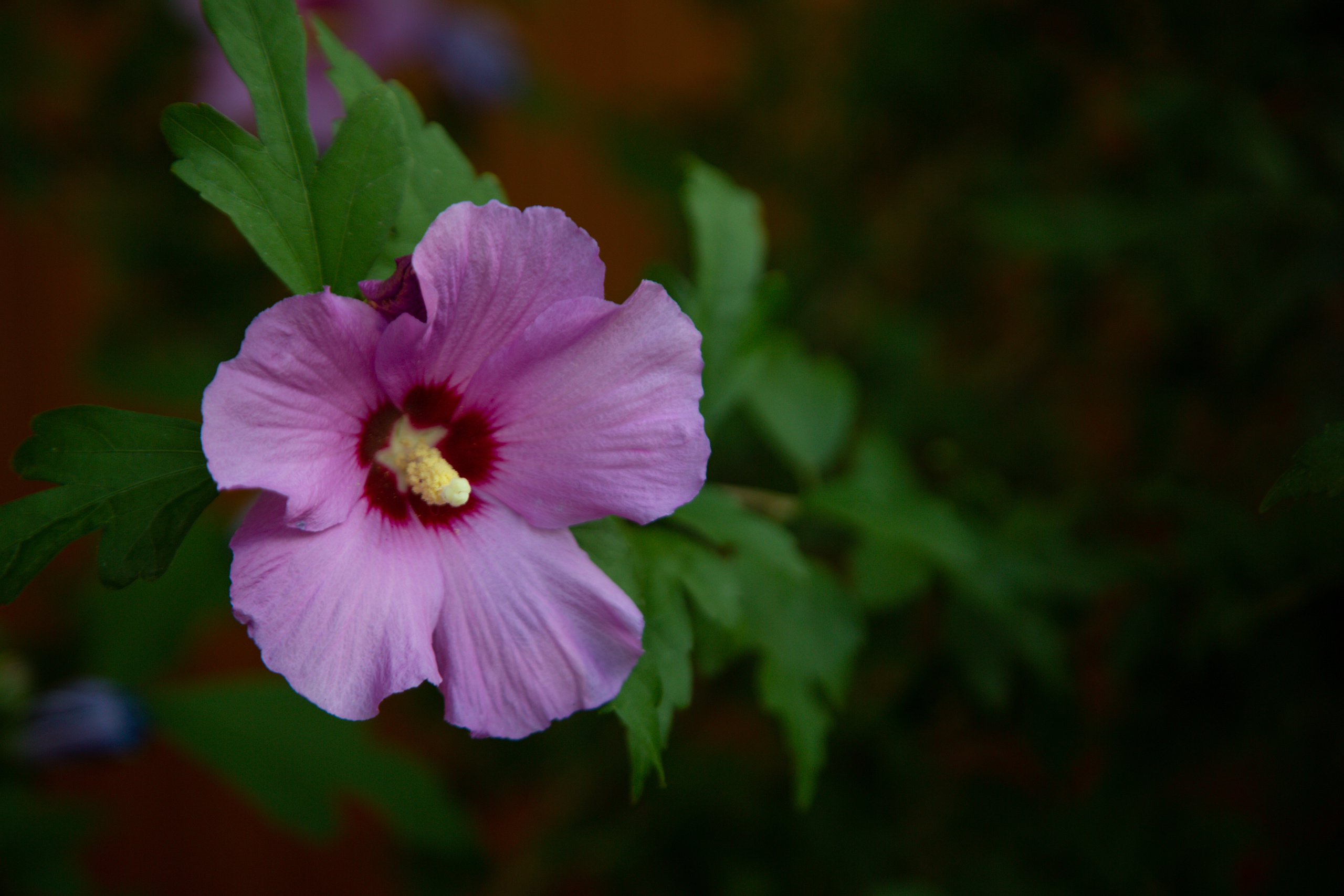 Штормовое. Республика Крым.