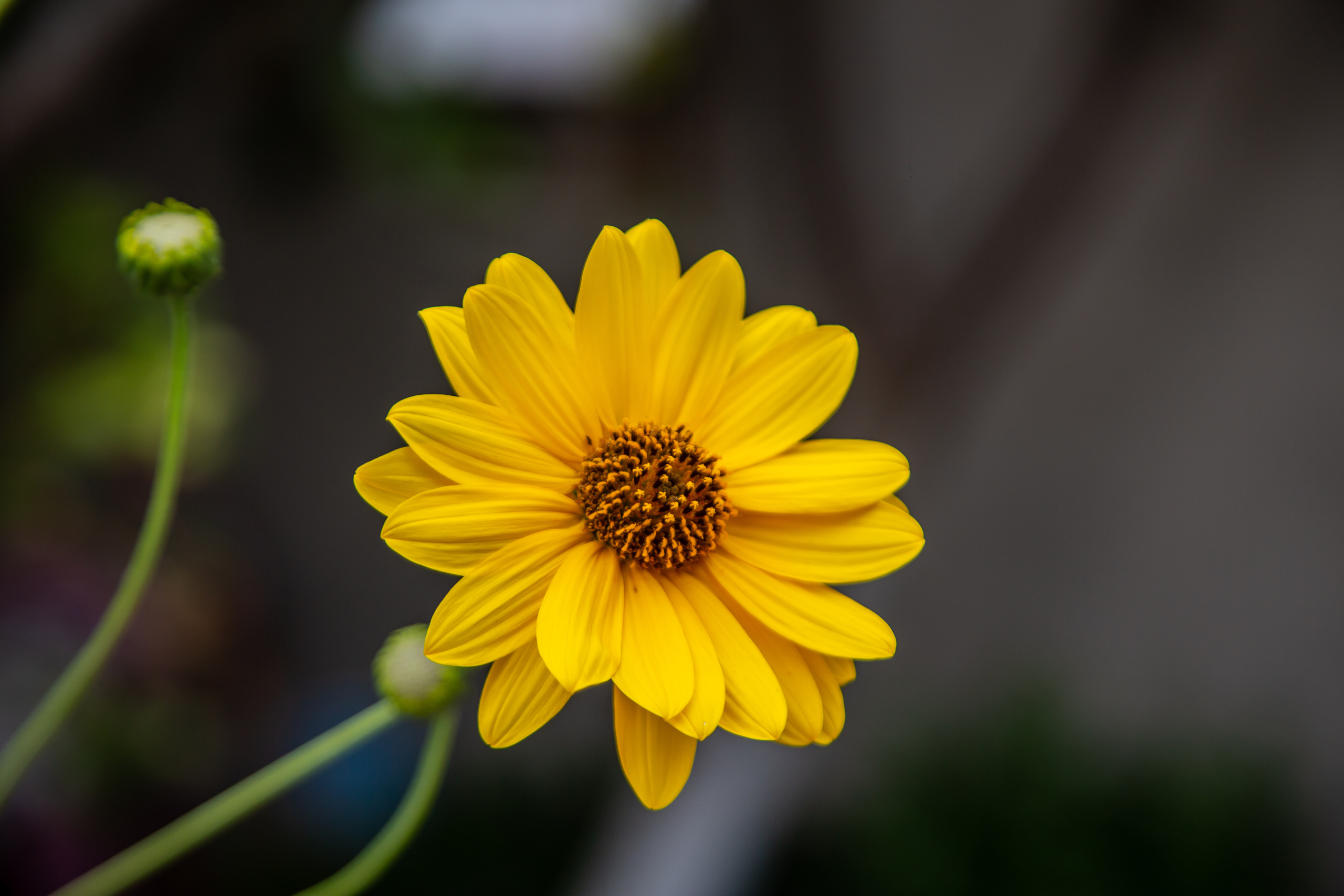 Крым. Штормовое. Photographer Sonkina Tatiana (Tanya Ash)