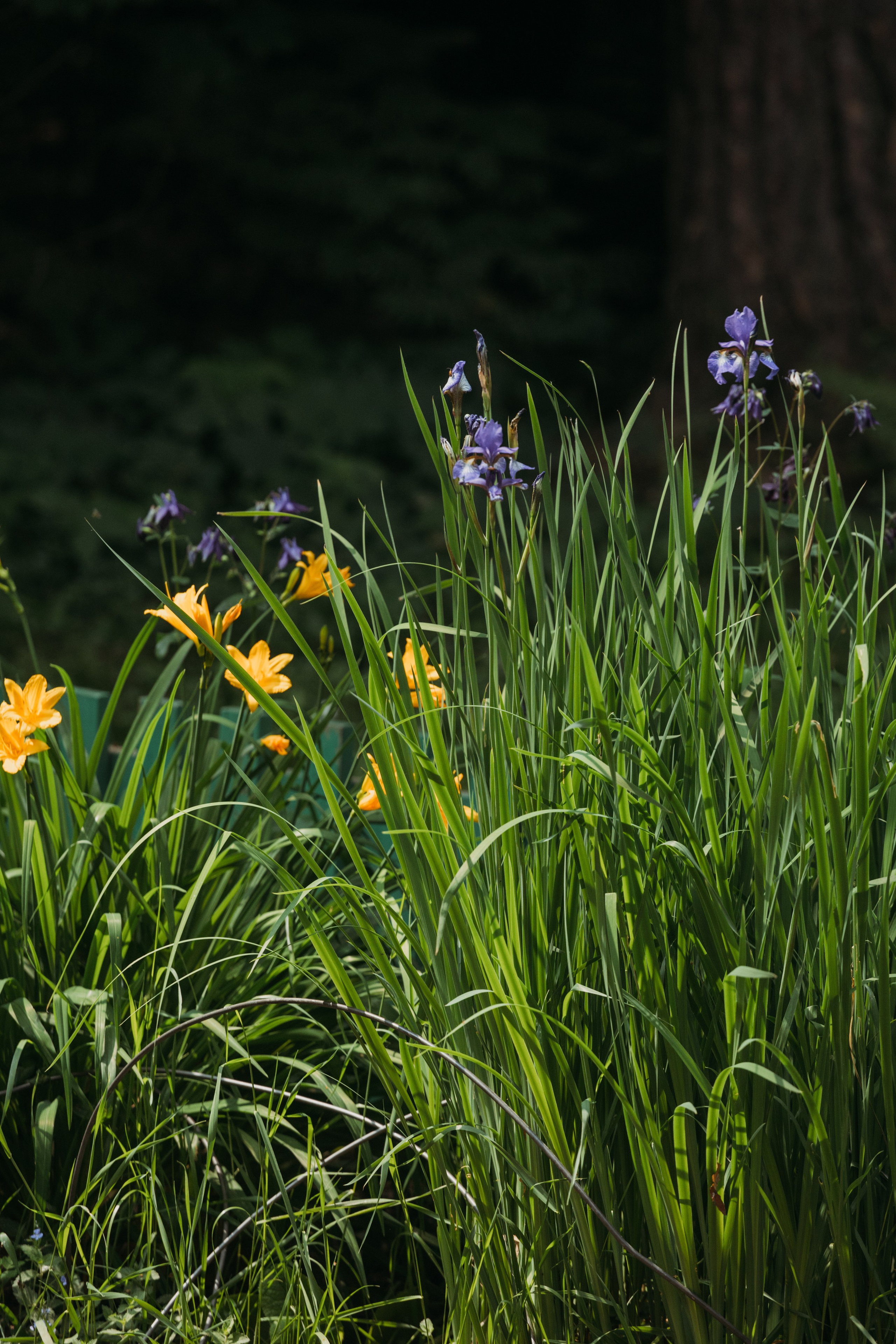 Родные люди «Переделкино». Леся Гаранина. Семейный фотограф/видеограф Москва и область