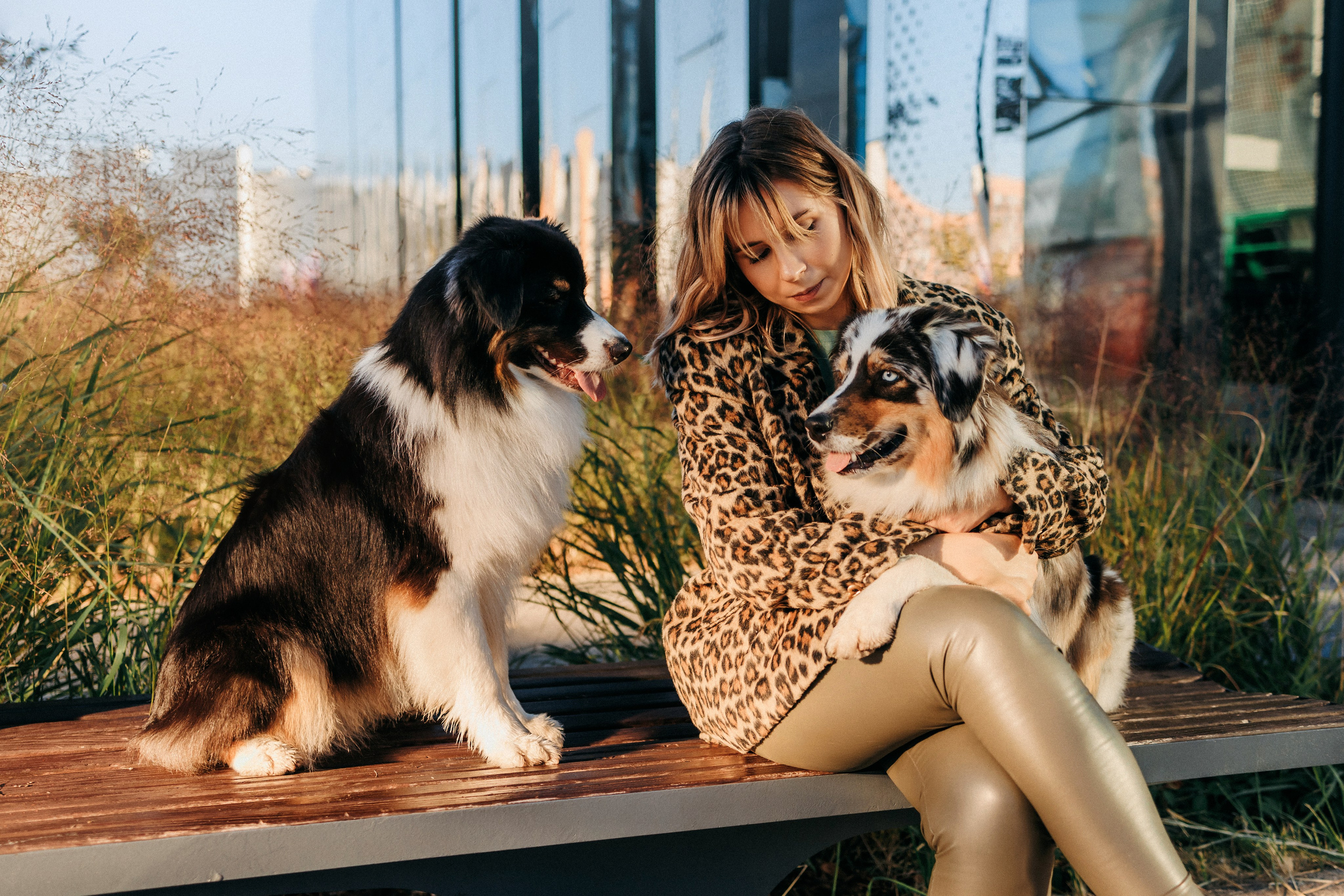 Аня, Чарли и Ева. Фотограф-анималист Елена Радченко, Москва