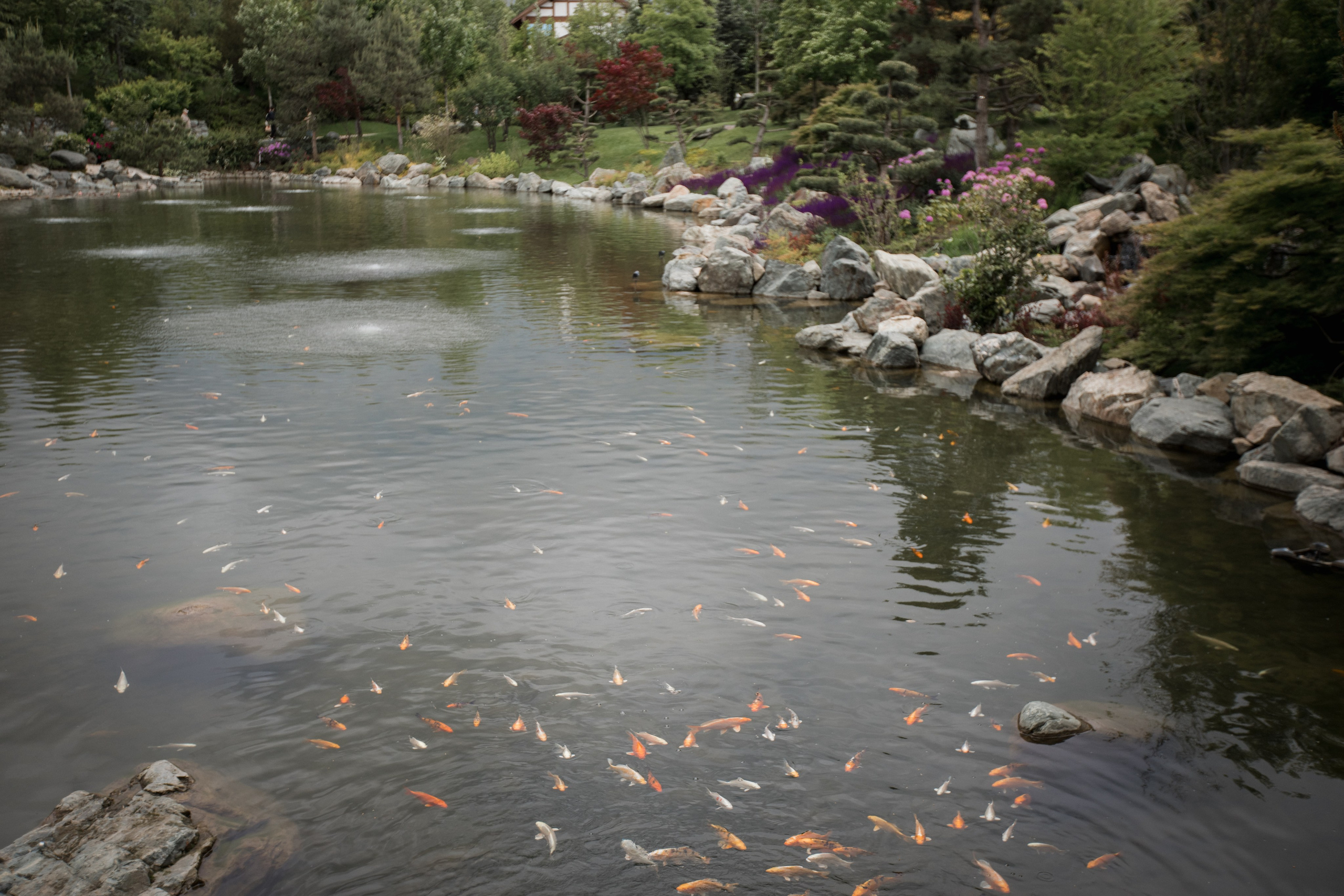 Татьяна и Андрей. Свадебный и семейный фотограф в Краснодаре