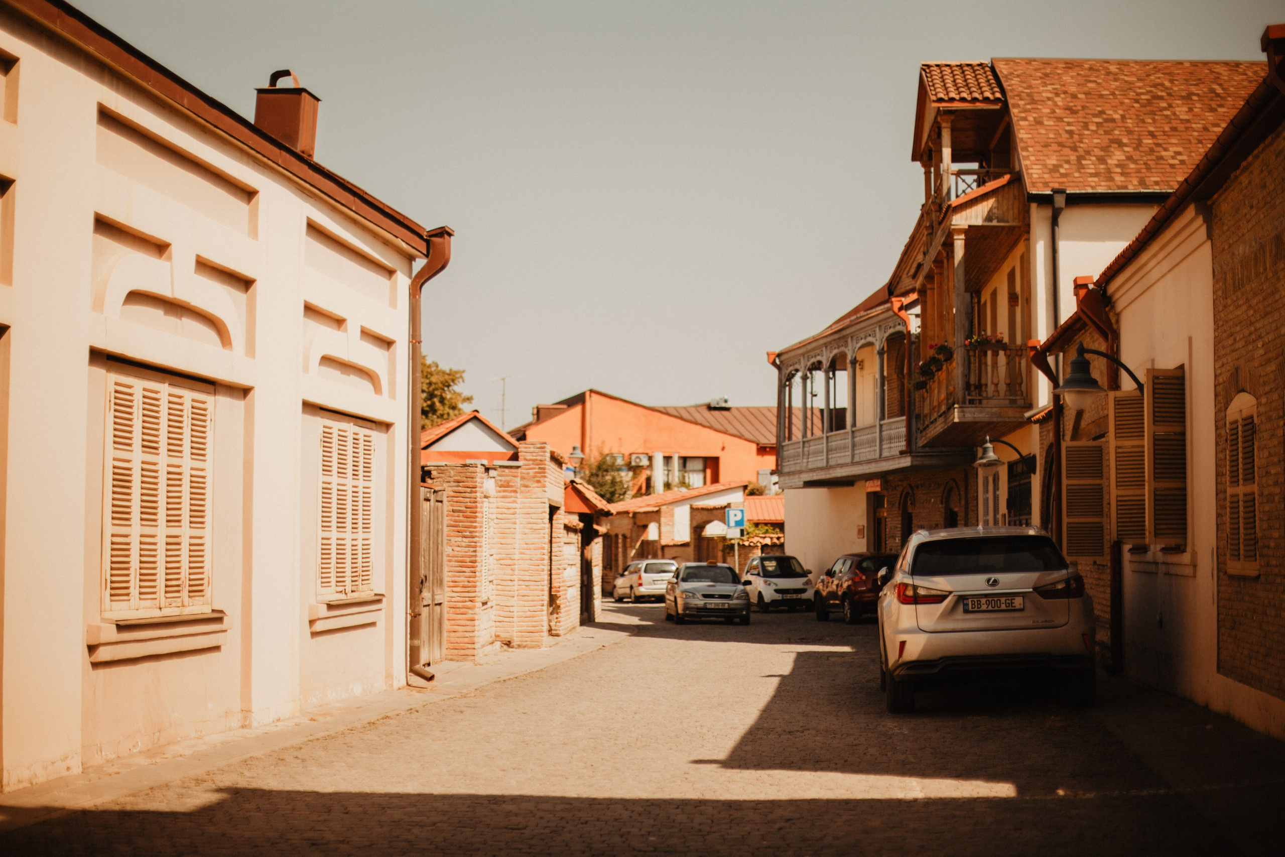 Грузинские каникулы. Violetta Skripka