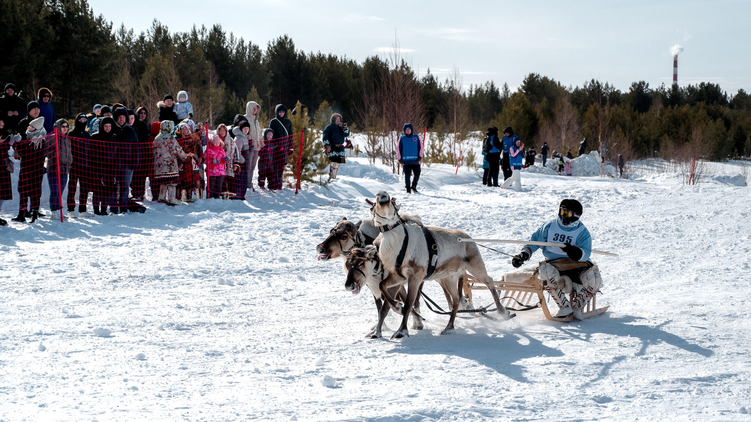 День оленевода г. Когалым. Фотограф Нижний Новгород