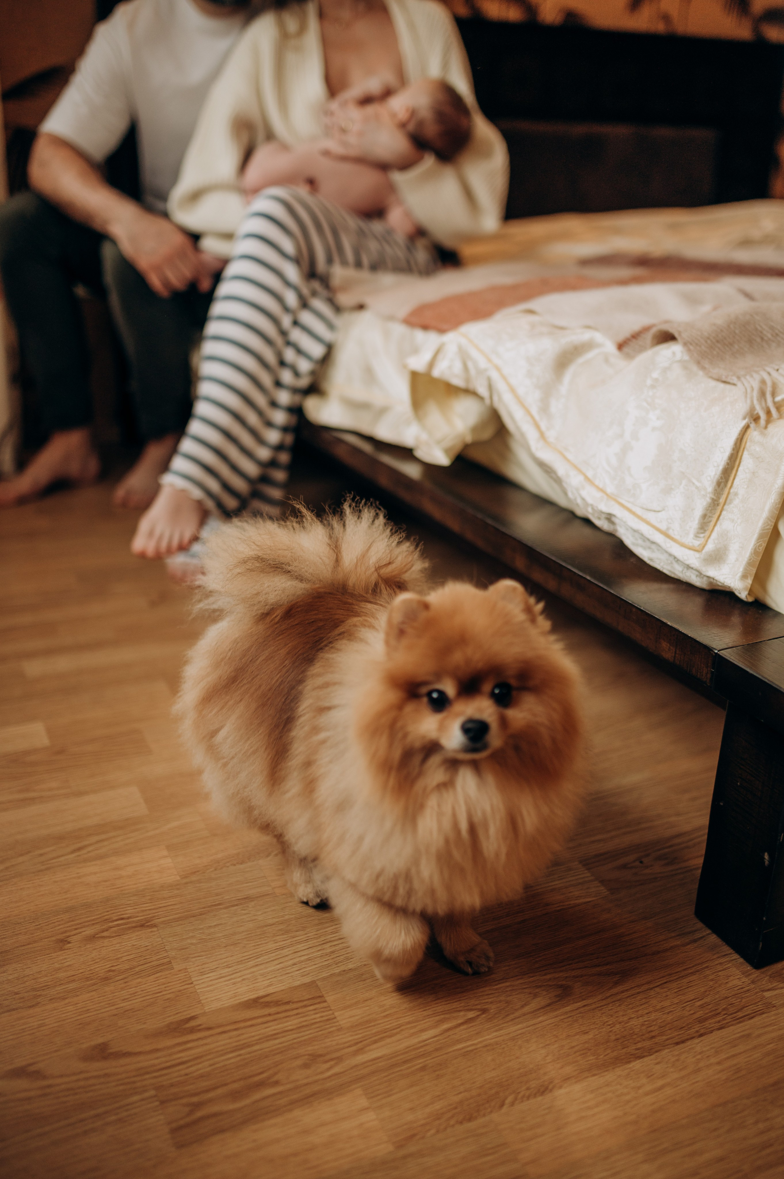Домашняя фотосессия Домодедово. Семейный фотограф в Домодедово и Москве Елена Пичугина