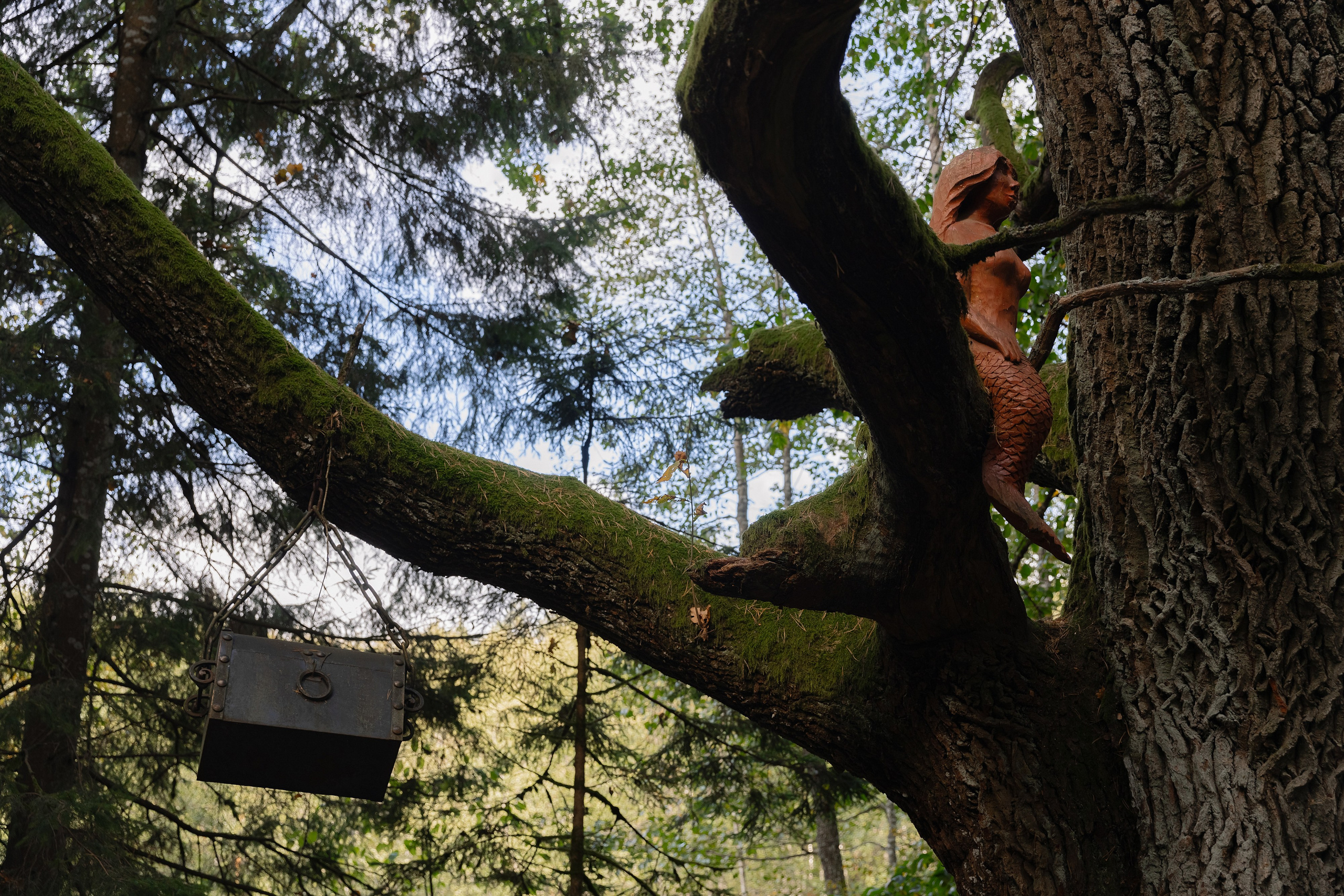 Корпоративная фотосъемка для ОАО Белагропромбанк в Суле в Загородном комплексе Westa. Свадебный фотограф в Минске/Беларуси Сергей Спиридонов