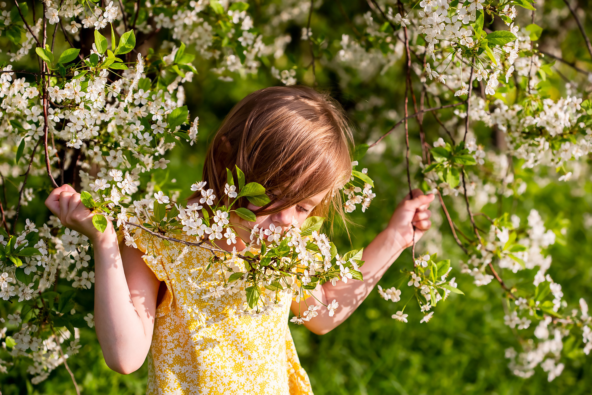 Фотосессия цветения для детей и семей. Галина Шарапова Детский и семейный фотограф Москва