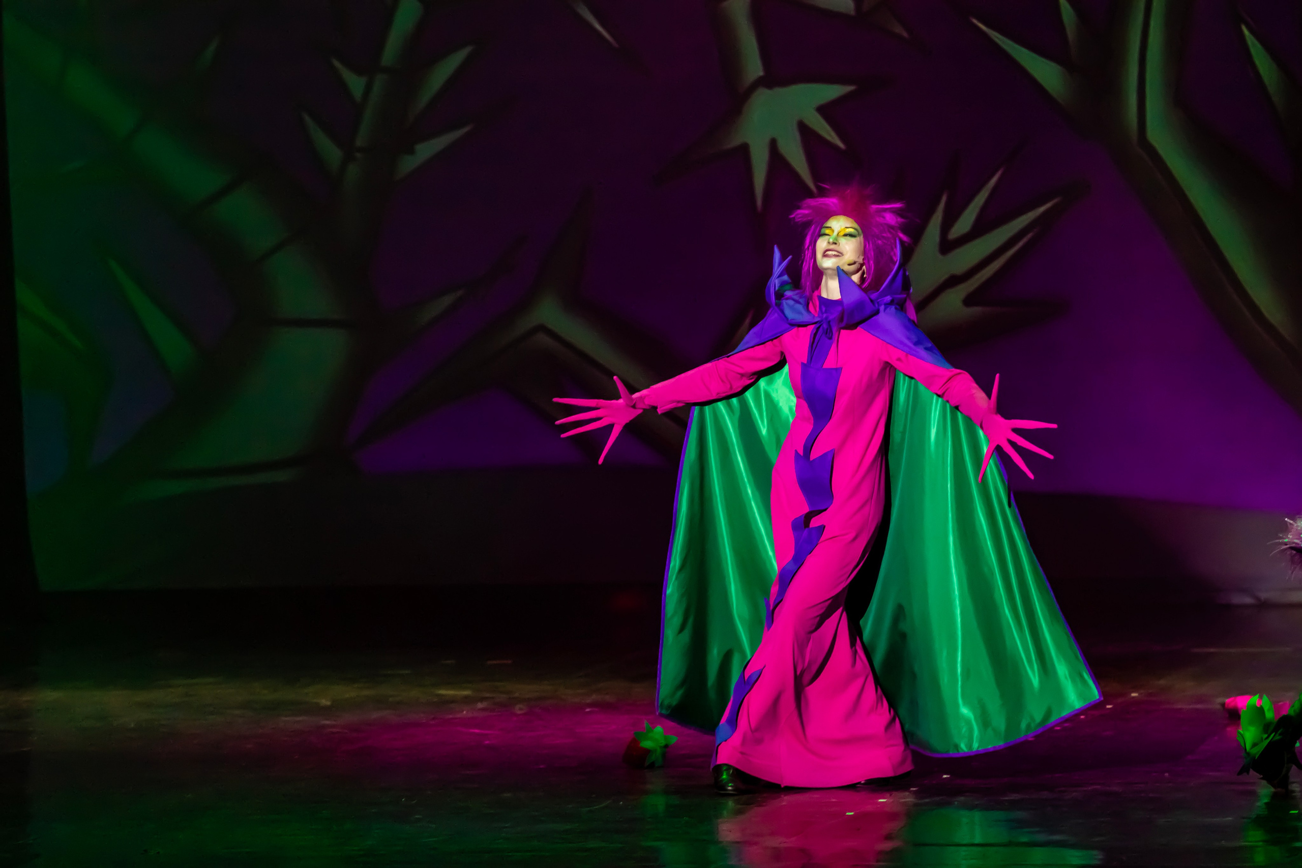 Мюзикл «Незнайка в царстве малюток» премьера Сочи солнышки и Сочи Соло. Фотограф в Сочи Юрий Шептаев