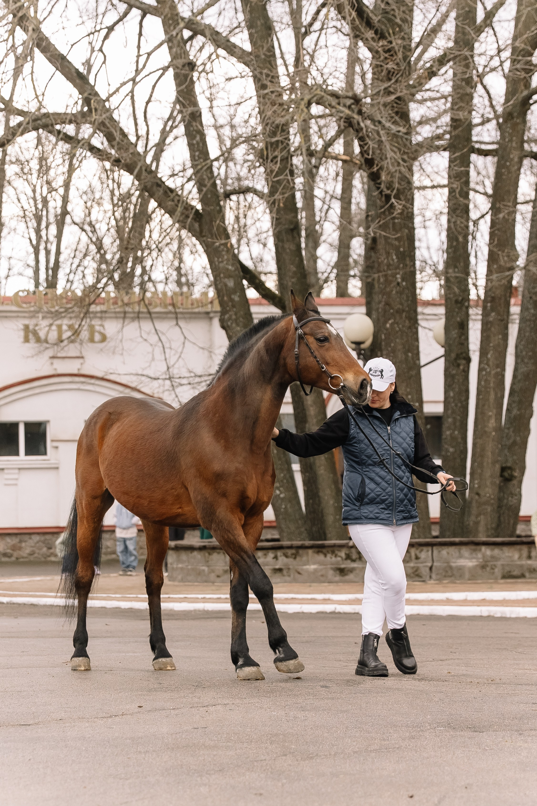 День Орловского рысака. Парк-отель Яр. Свадебный, репортажный фотограф Ирина Шкурина