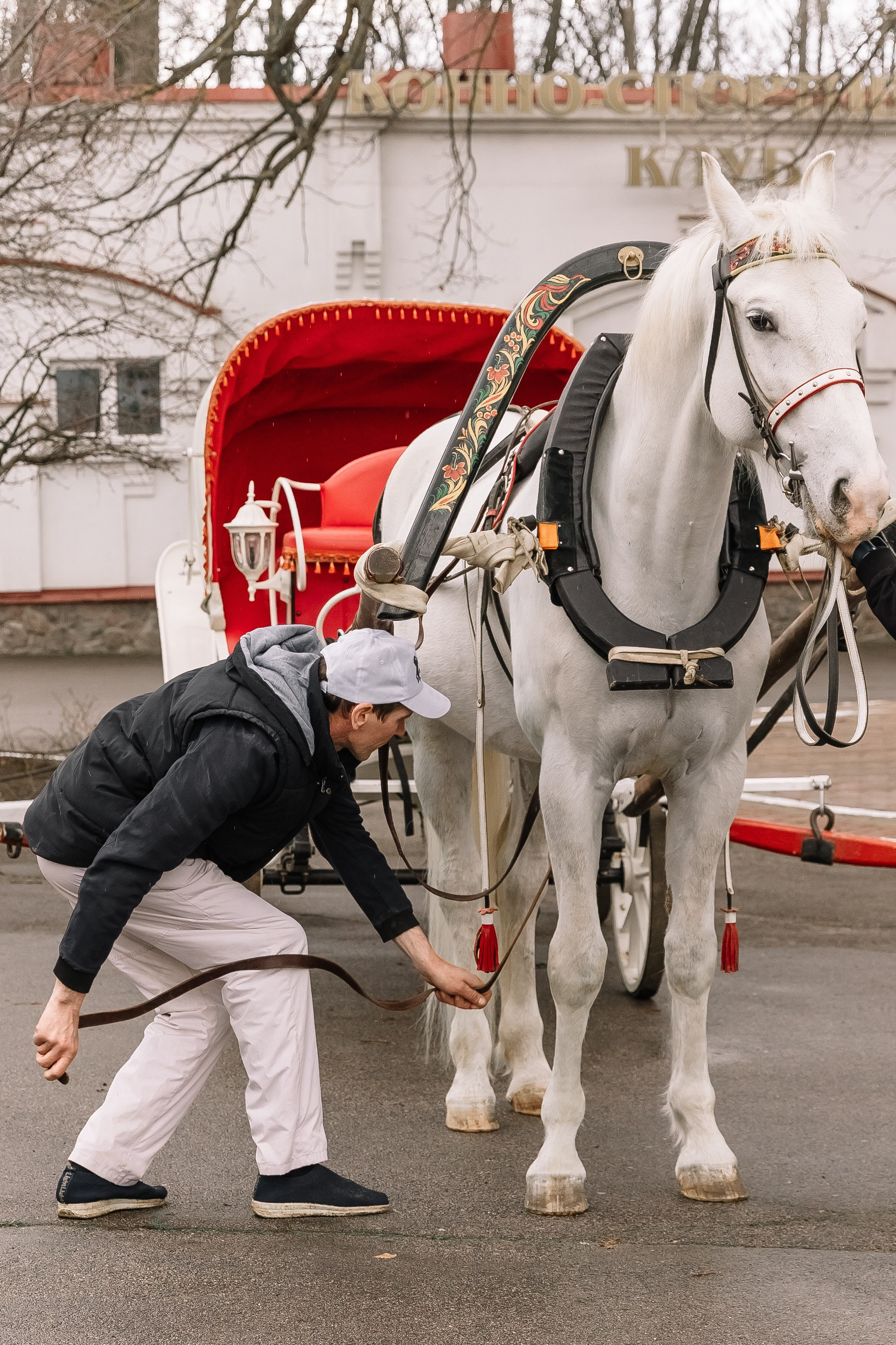 День Орловского рысака. Парк-отель Яр. Свадебный, репортажный фотограф Ирина Шкурина