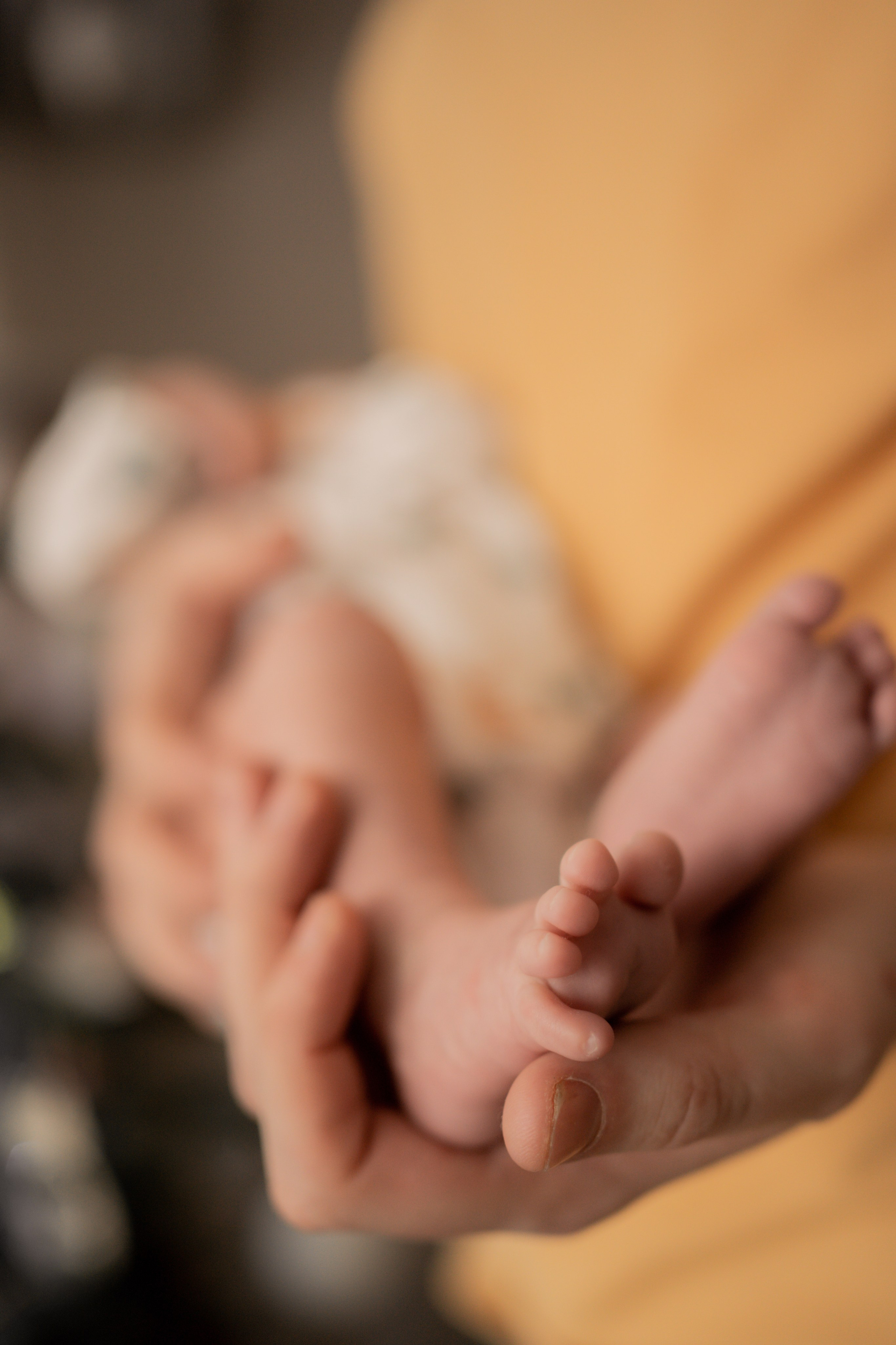 Оля, Коля, Аня, Рита. Фотограф грудного вскармливания в Москве Екатерина