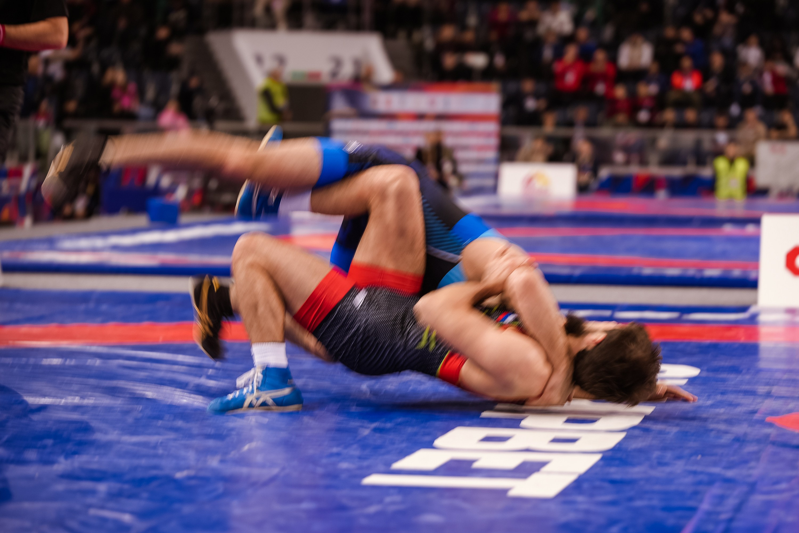 Кубок Ивана Ярыгина 2025 фотографии / ivan yarygin cup 2025 photos. Фотограф Анна Герман. Красноярск