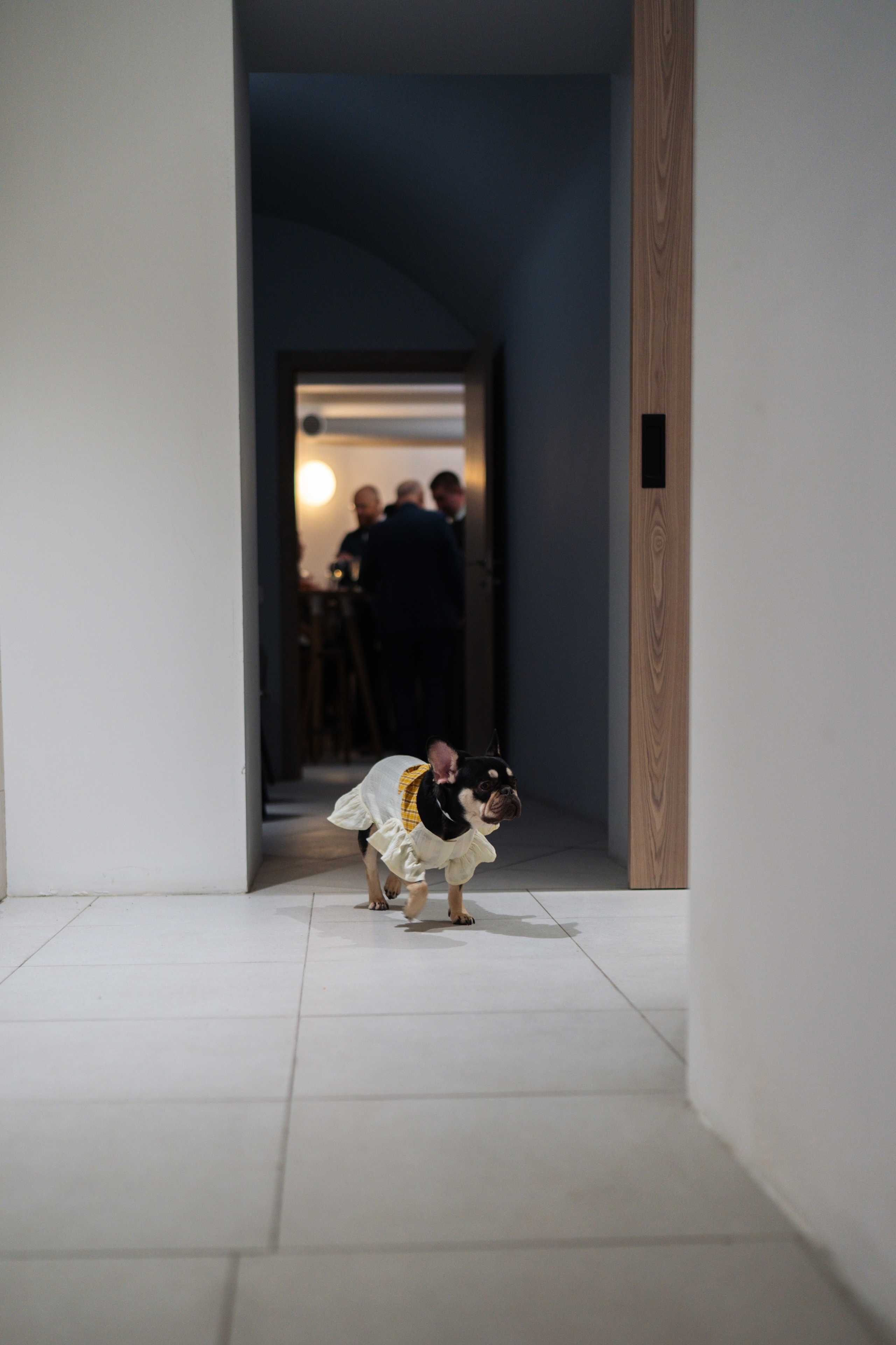 Юбилей 50 лет. Свадебный фотограф в Москве Кристина Чехова