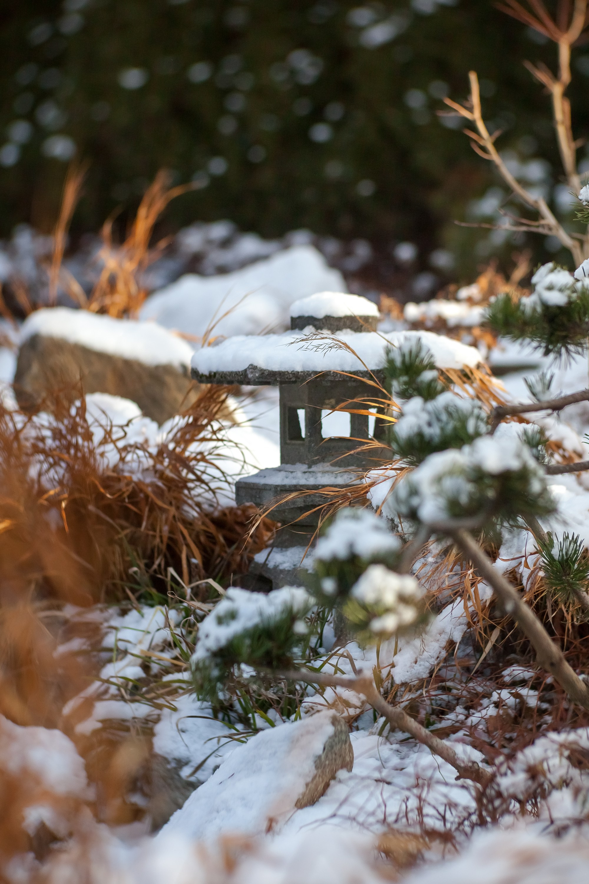 ОДНИМ СОЛНЕЧНЫМ ЗИМНИМ ДНЁМ!. Туманов Виталий — фотограф Москва