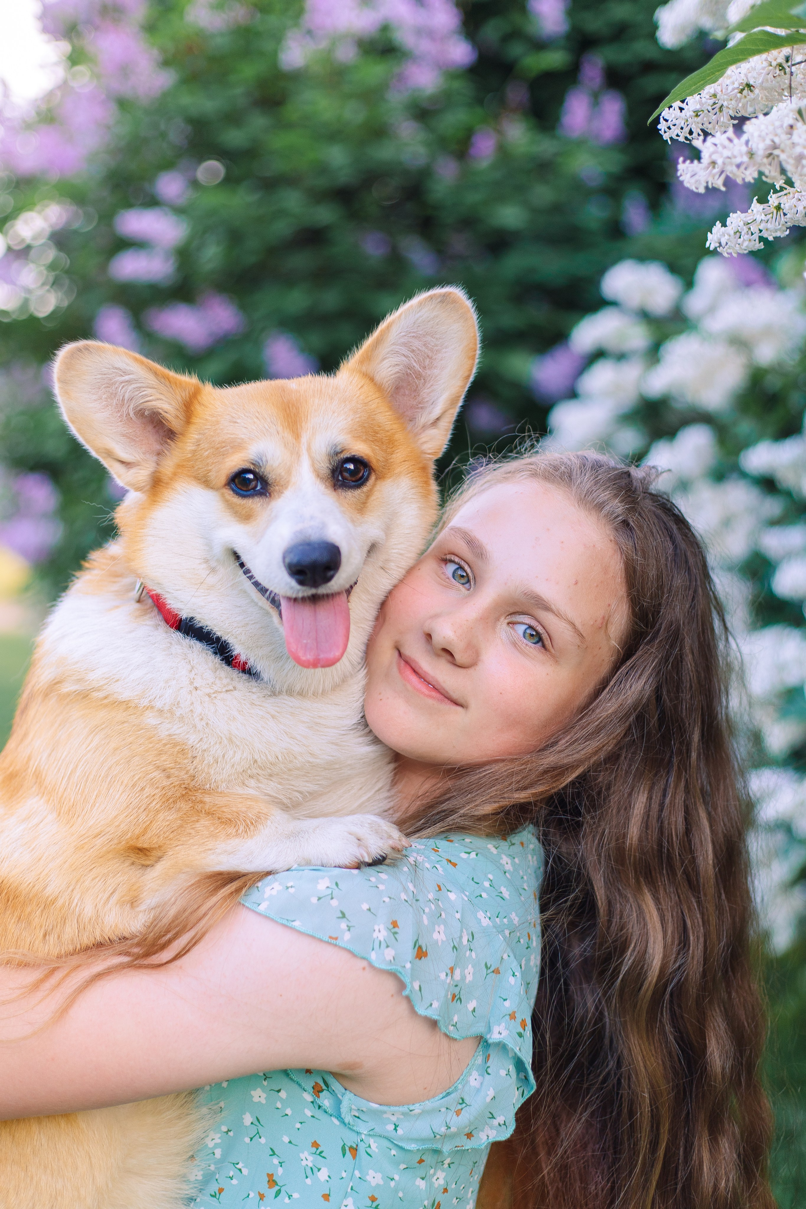 Летняя фотосессия с домашними любимцами в парке. Фотограф в Санкт-Петербурге, Анна Скворцова