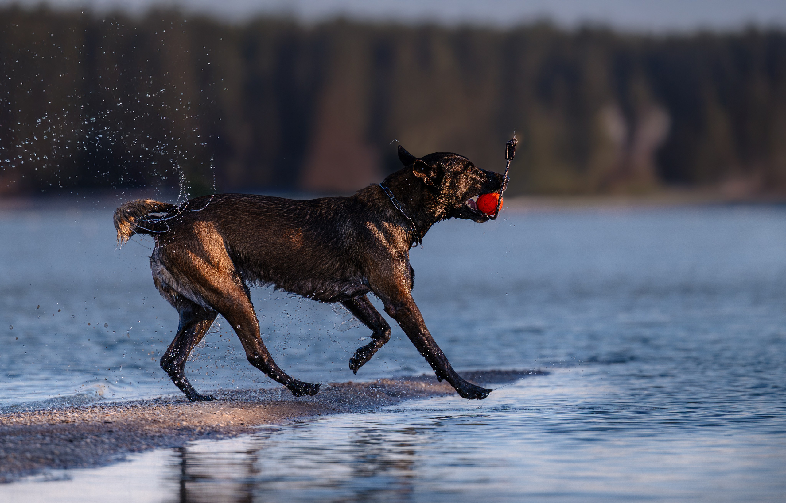 Вечер на заливе. Фотограф в Ростове —на — Дону