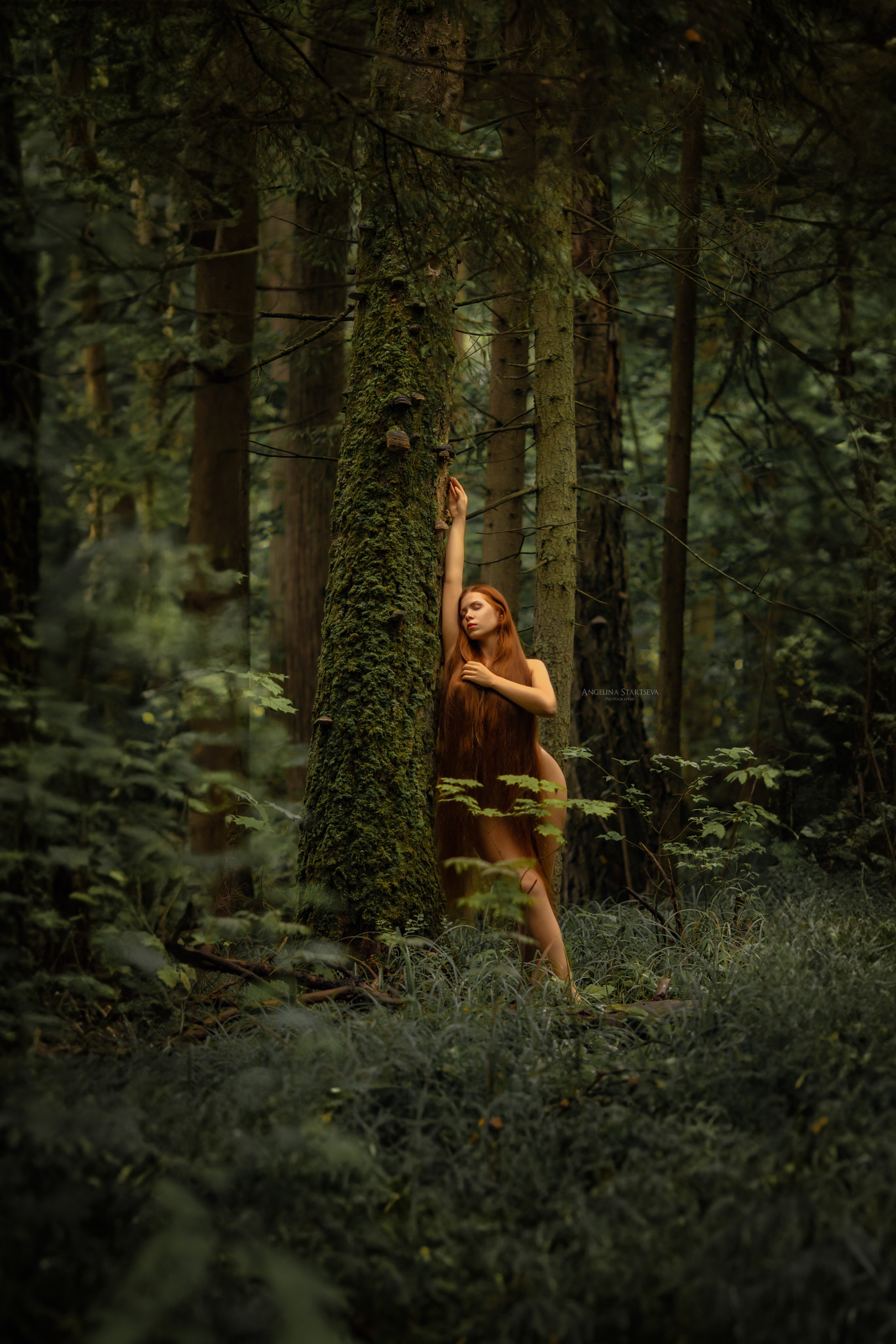 ню фотосессия в лесу