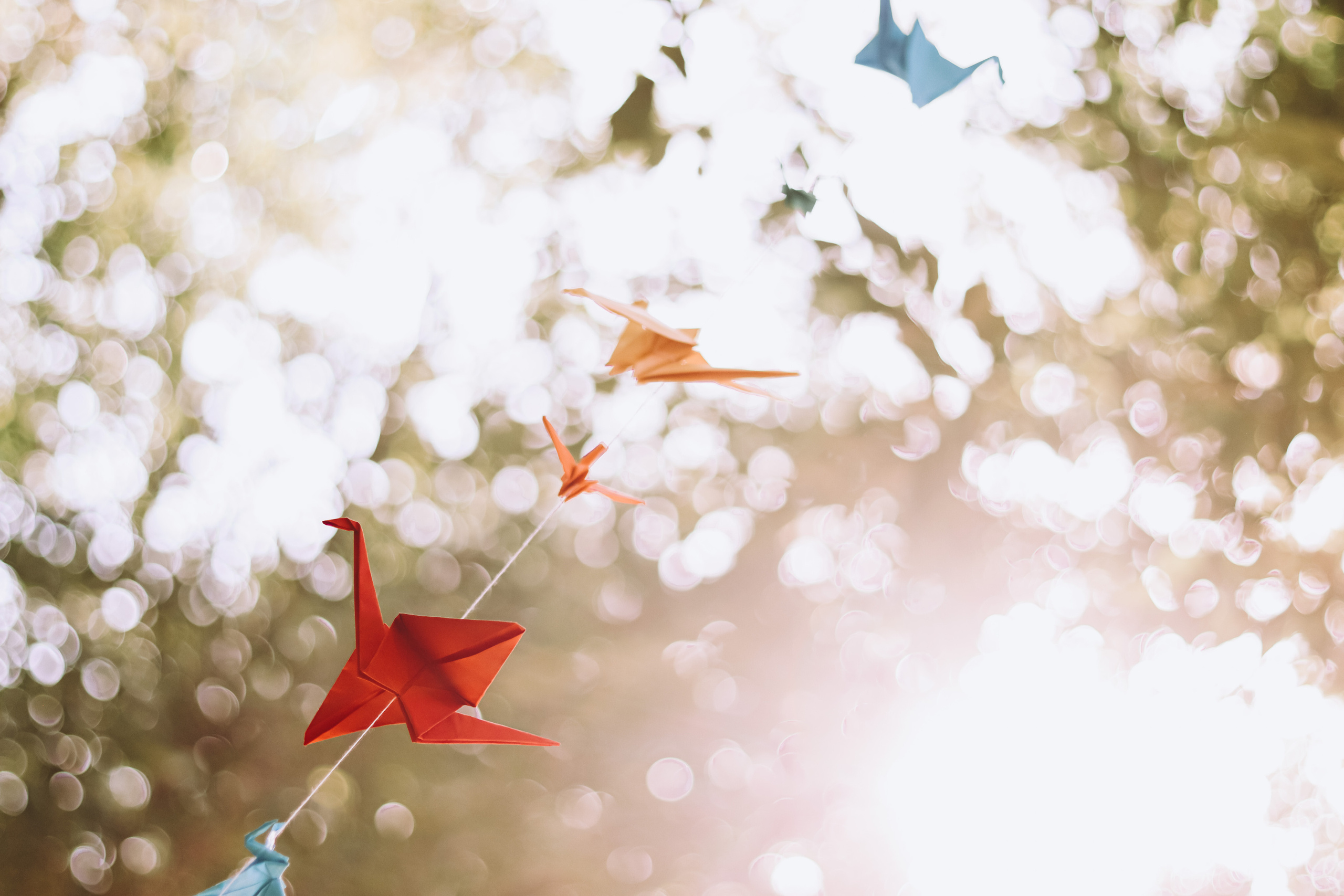 Varya and Seva, Jerusalem, July 2023. Photographer in Israel Alice Milchin